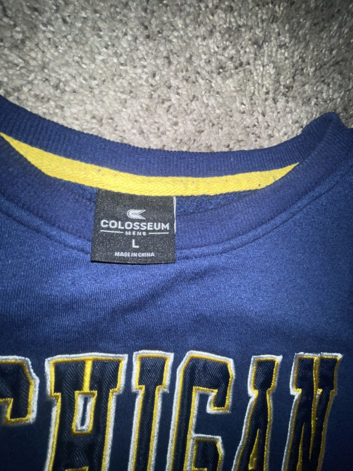 Colosseum Athletics Colosseum Michigan embroidered crewneck Size US L / EU 52-54 / 3 - 3 Thumbnail