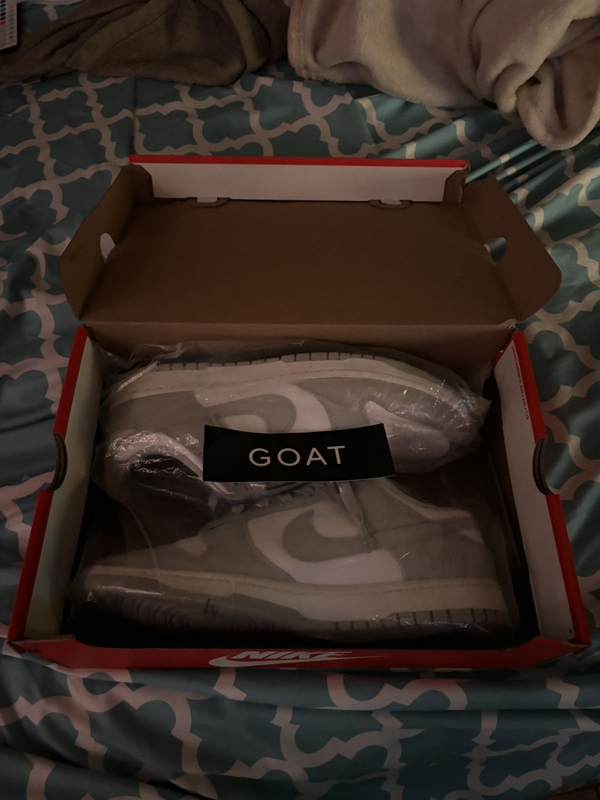 Grey Fog NikeSB Dunks