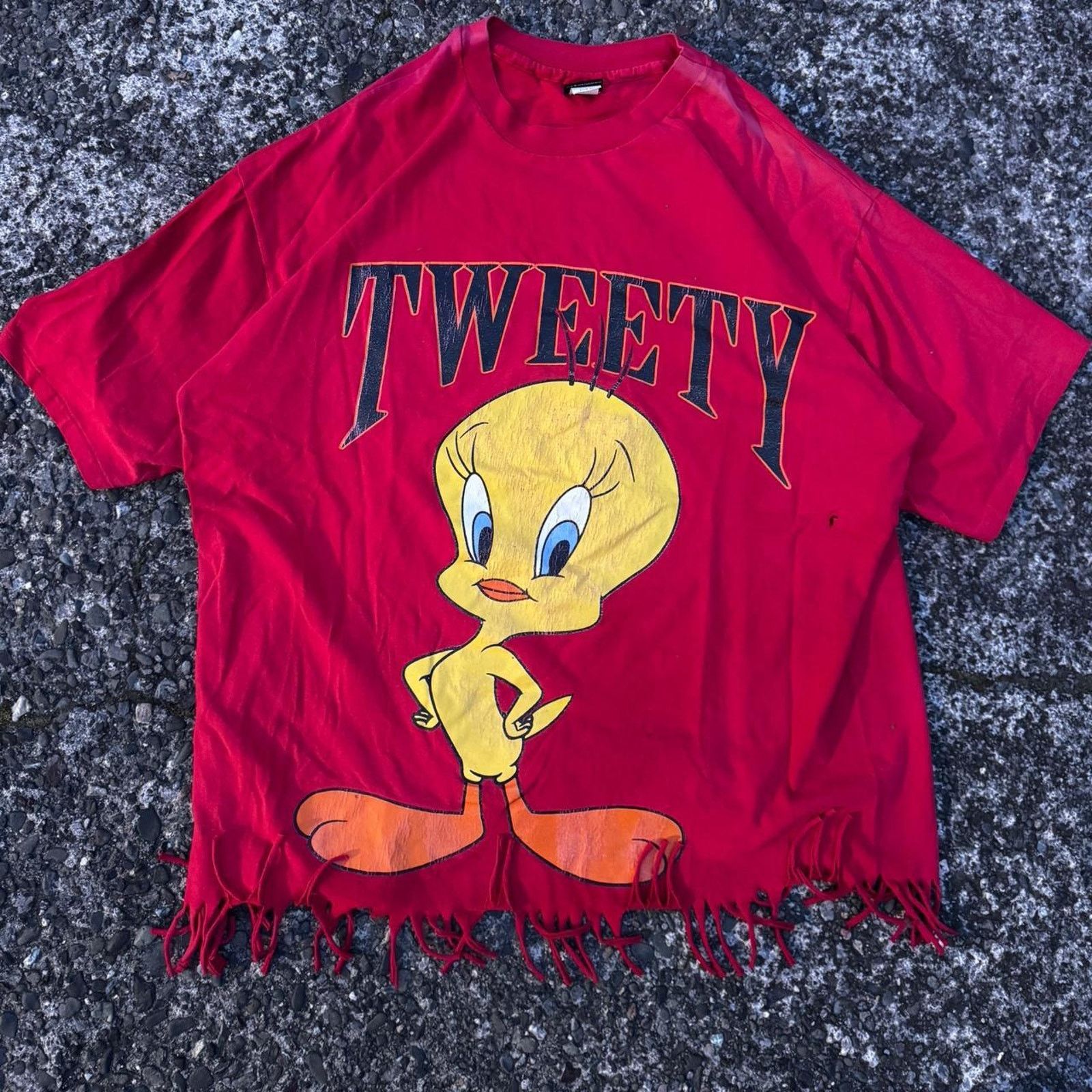 Warner Bros Vintage Tweety Bird DIY Tassel Distressed T-Shirt – Size XL Size ONE SIZE - 1 Thumbnail