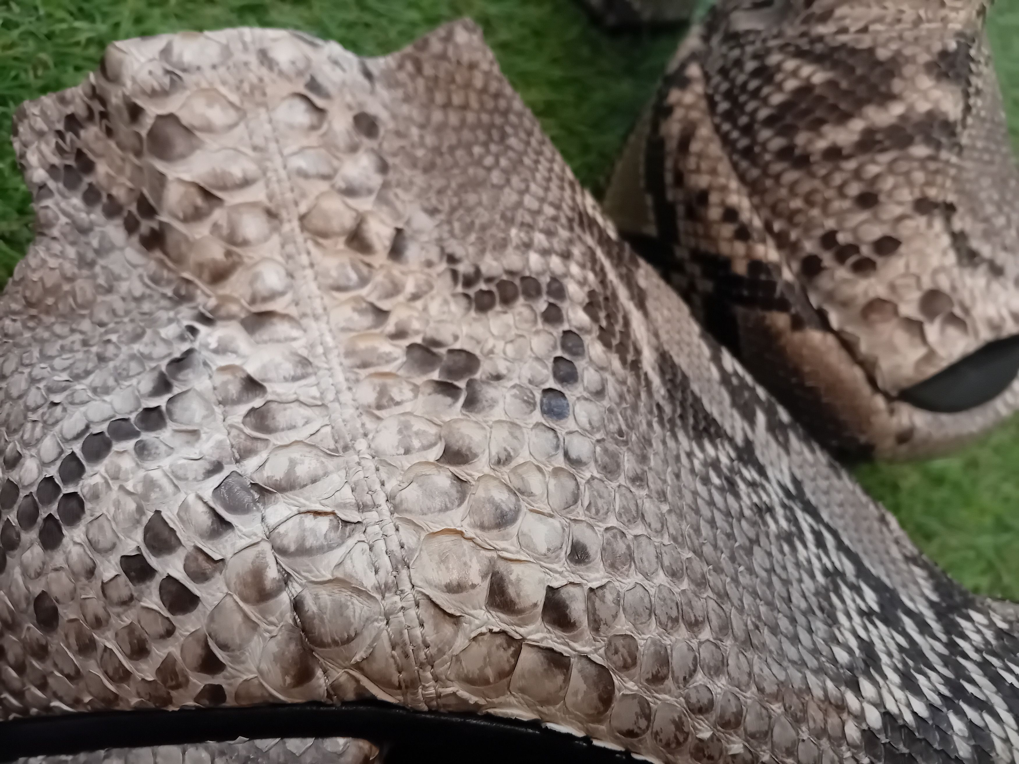 Cinzia Araia Cinzia Araia Designer Heels – Python Leather, Italy Size US 8 / IT 38 - 10 Thumbnail