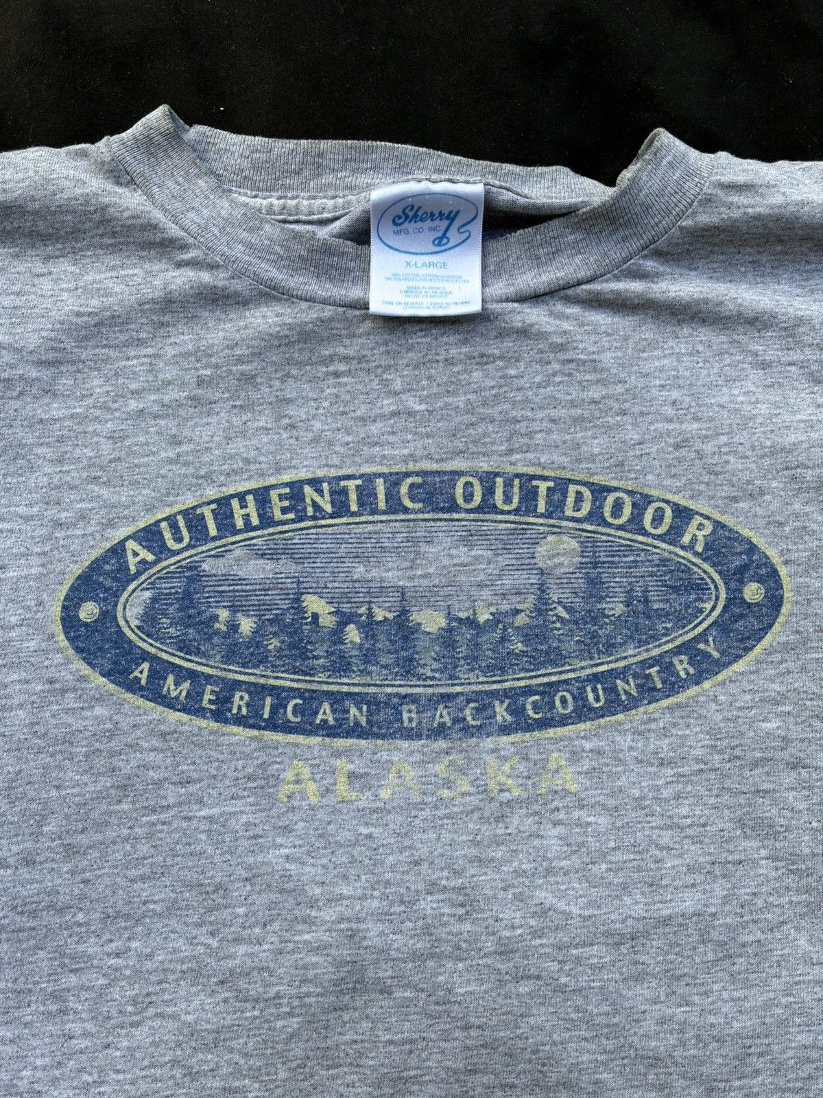 Other Vintage Alaska American Backcountry T-Shirt Size US XL / EU 56 / 4 - 3 Thumbnail