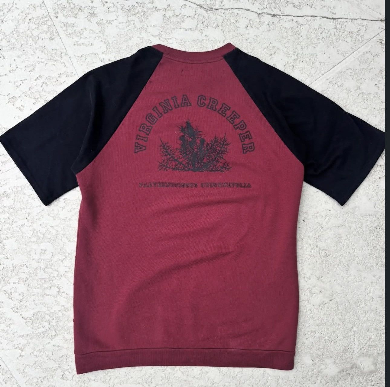 Raf Simons Virginia Creeper | Grailed
