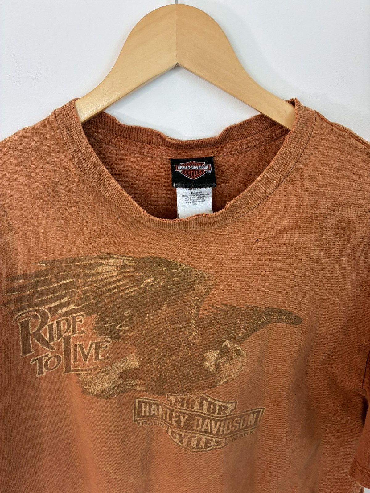 Harley Davidson Sun Faded Burnt Orange Harley Davidson Bald Eagle Tee Size US L / EU 52-54 / 3 - 3 Thumbnail
