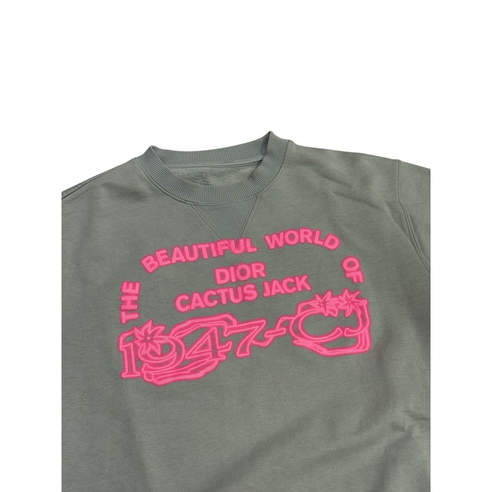 Dior Cactus Jack Travis Scott Jackboys Dior Beautiful World Size US M / EU 48-50 / 2 - 2 Thumbnail