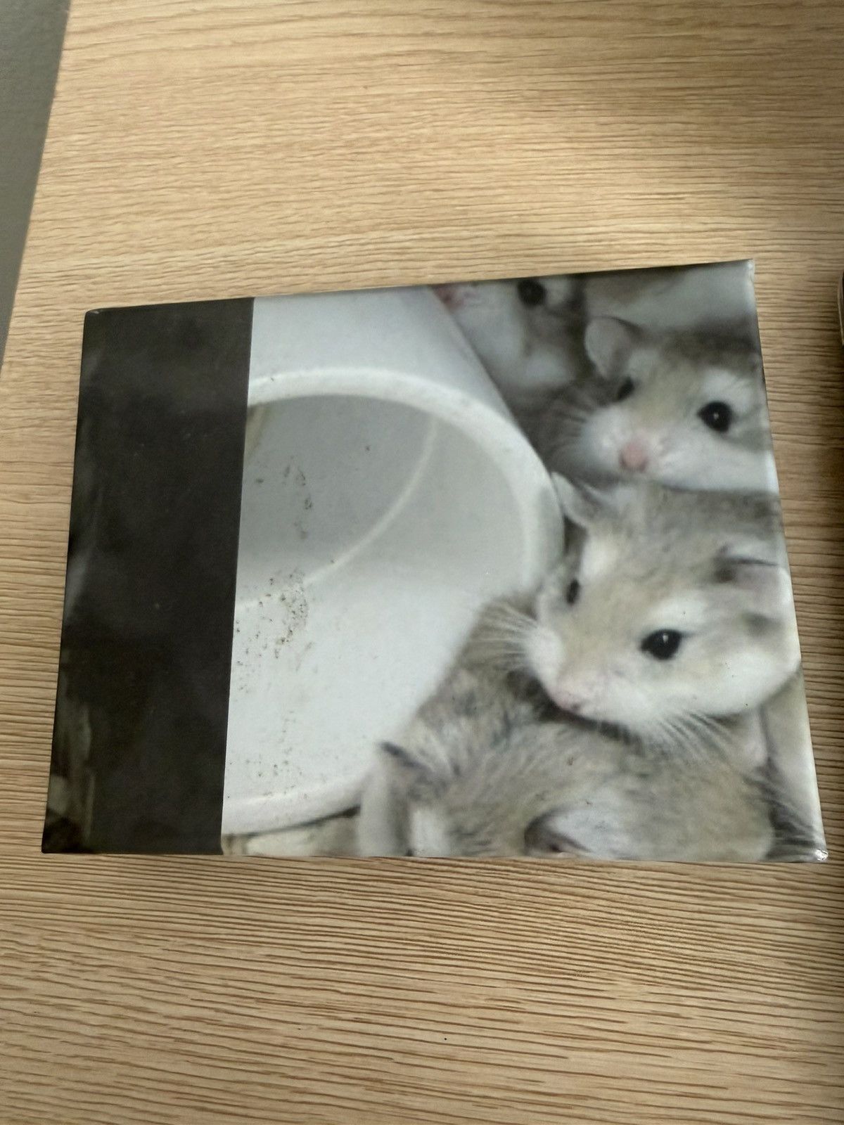 Imran Potato Imran potato gerbil wallet Size ONE SIZE - 2 Thumbnail