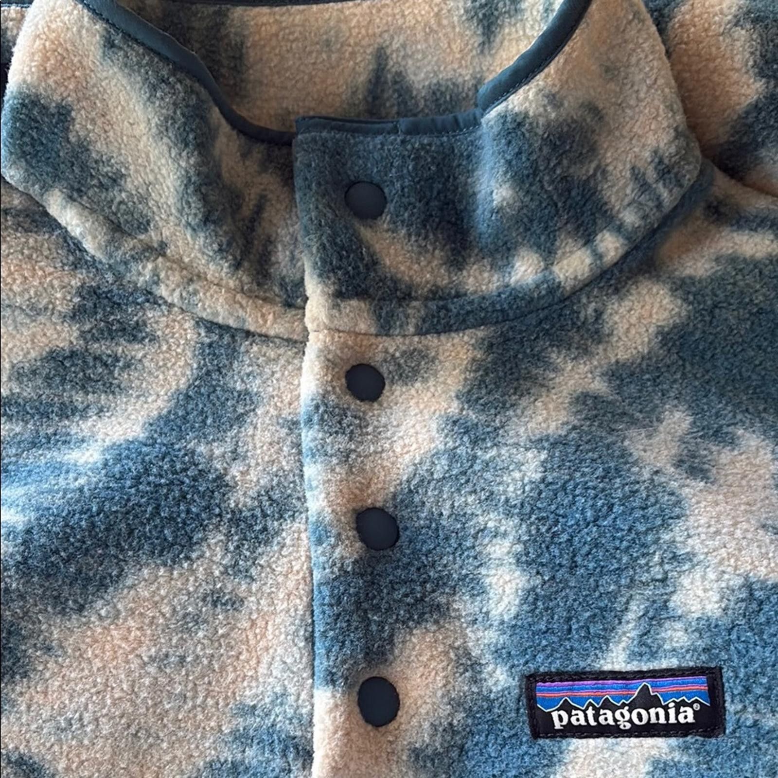 Patagonia Patagonia Lightweight Synchilla® Snap-T Pullover Size Small Size S / US 4 / IT 40 - 7 Thumbnail
