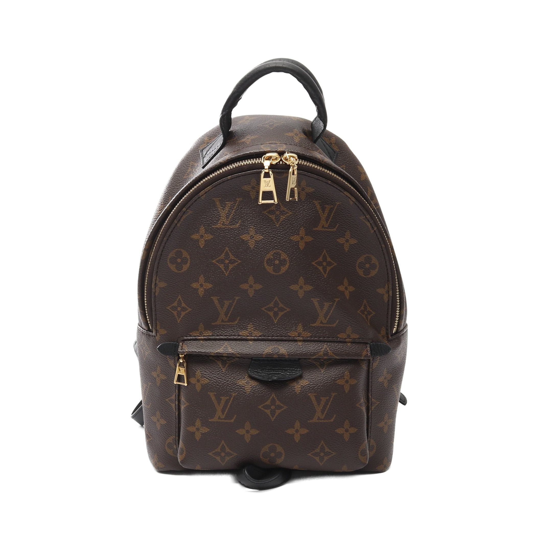Louis Vuitton Louis Vuitton Palm Springs Backpack Pm Monogram Rucksack Leather Brown Black Size ONE SIZE - 1 Thumbnail