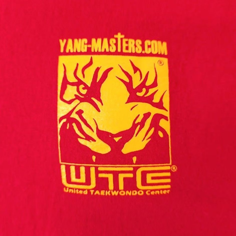 Hanes Hanes Taekwondo T Shirt Mens Size M Red Yang Masters Martial Arts Short Sleeve Crew Neck Sports Size US M / EU 48-50 / 2 - 3 Thumbnail