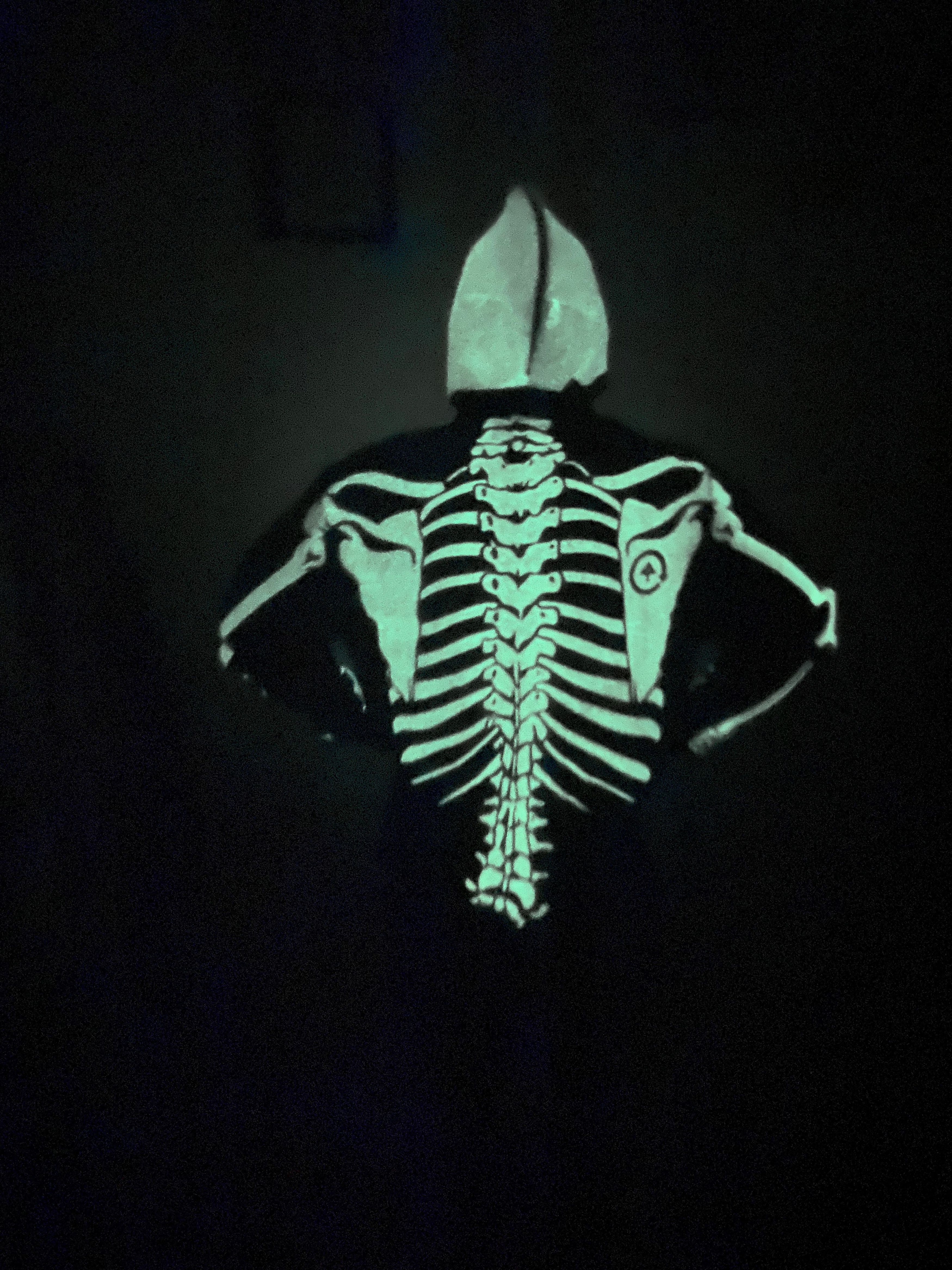 LRG LRG Glow in the Dark Skeleton Hoodie XL Size US XL / EU 56 / 4 - 7 Thumbnail
