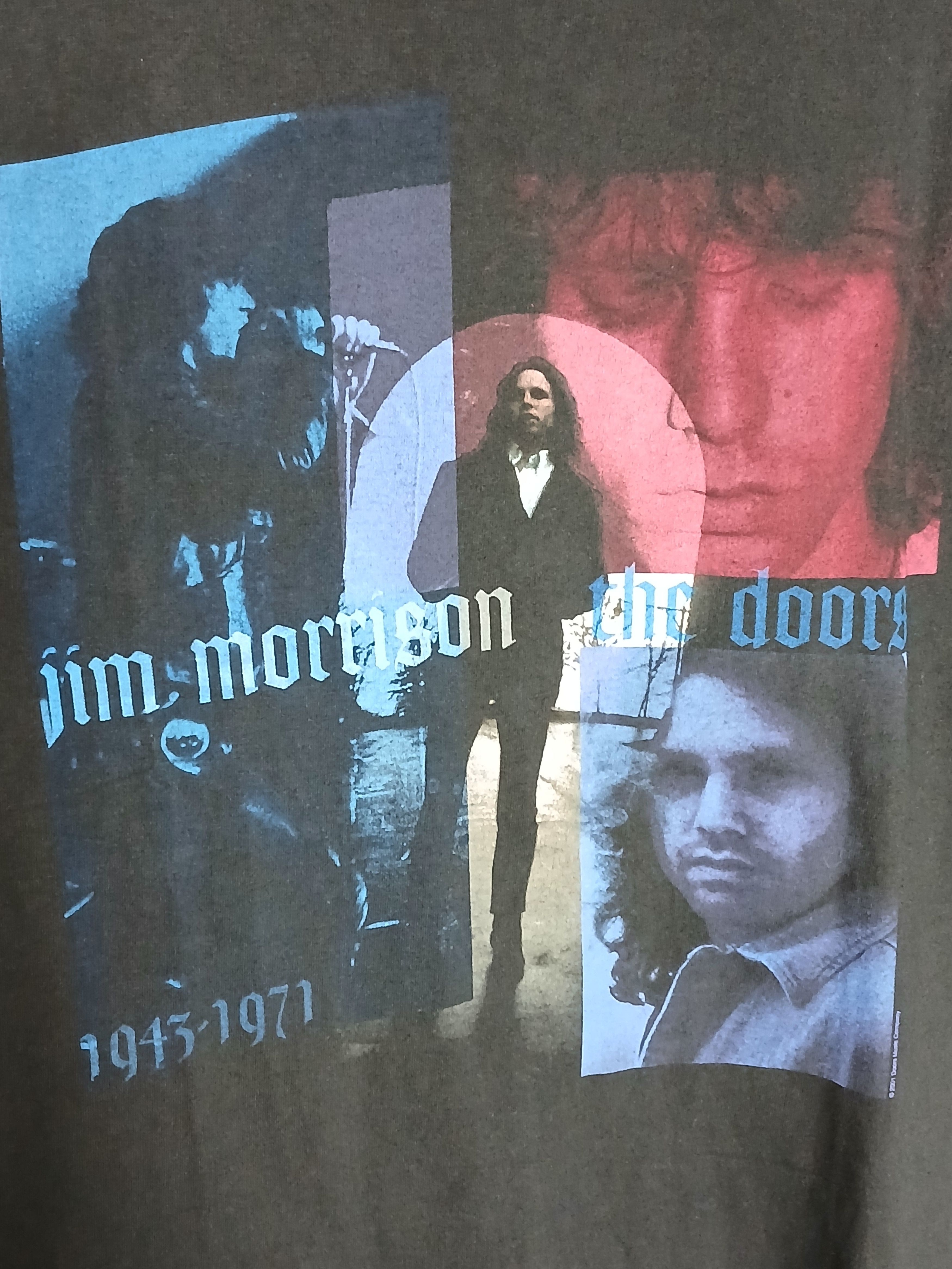 Band Tees The Doors Jim Morrison T-Shirt Size US L / EU 52-54 / 3 - 3 Thumbnail