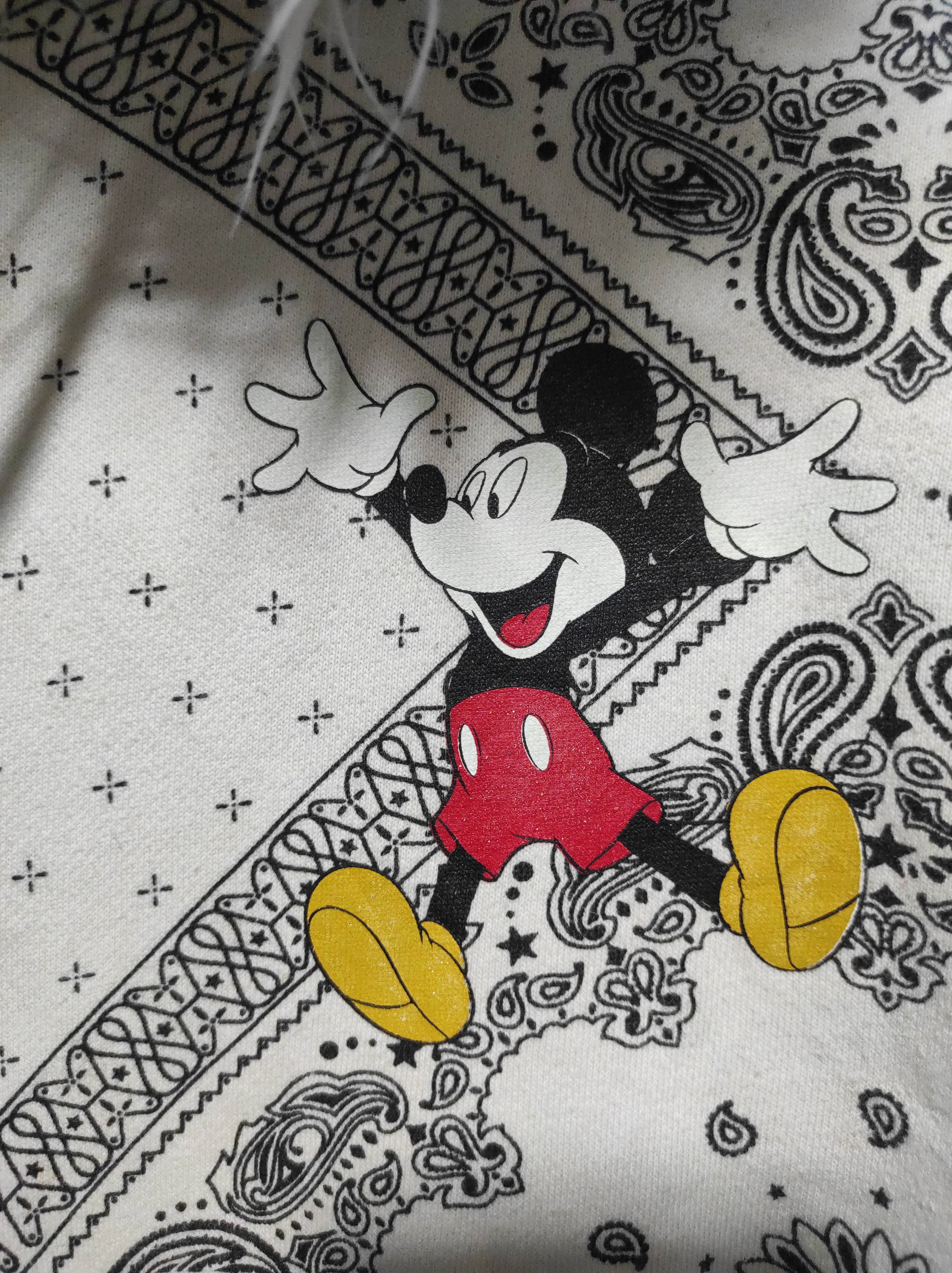 Disney Disney Paisley zip fur hoodie ifsix LGB style Size US S / EU 44-46 / 1 - 6 Thumbnail