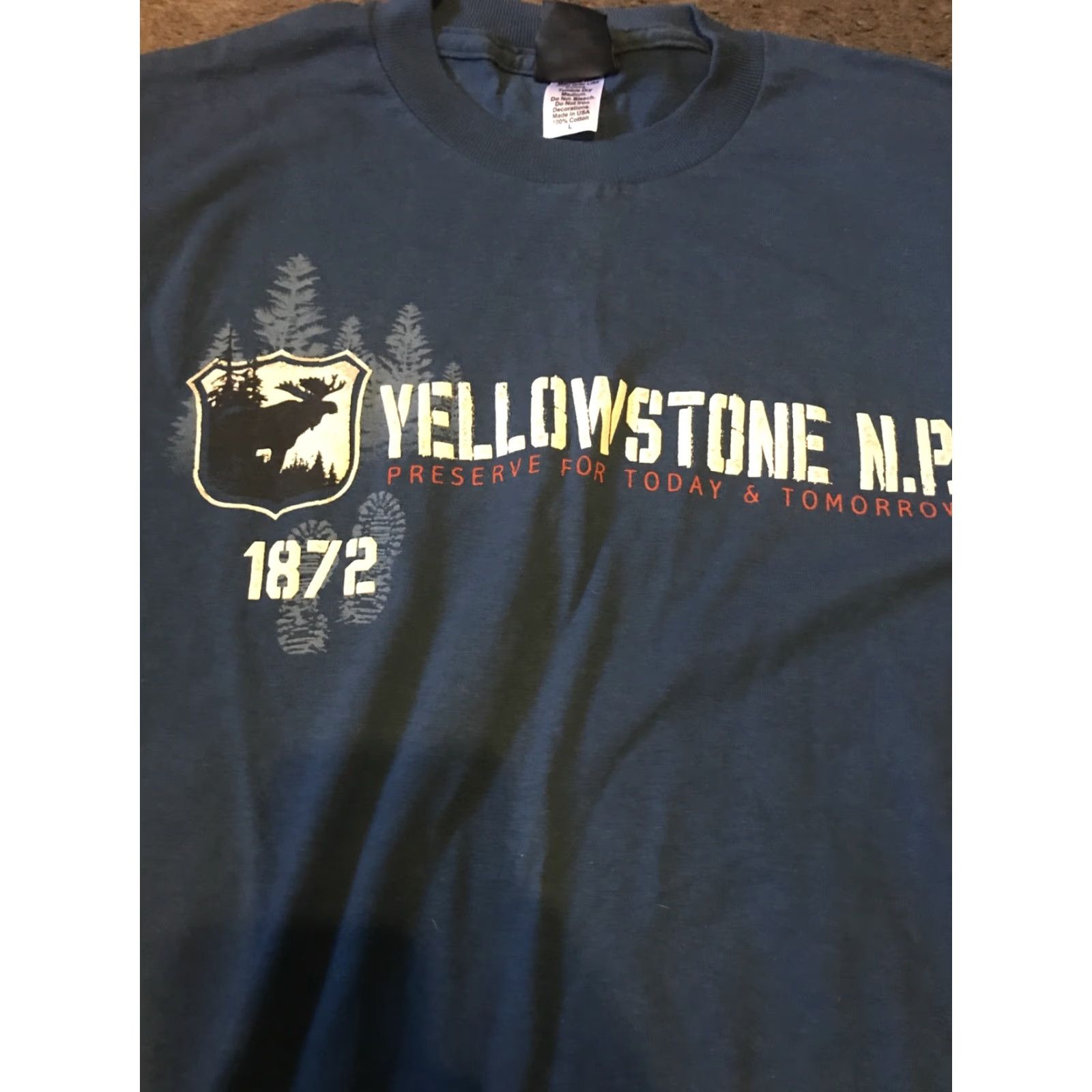 Vintage Prairie Mountain T-Shirt L Blue USA Cotton Yellowstone Mens Size US L / EU 52-54 / 3 - 2 Thumbnail