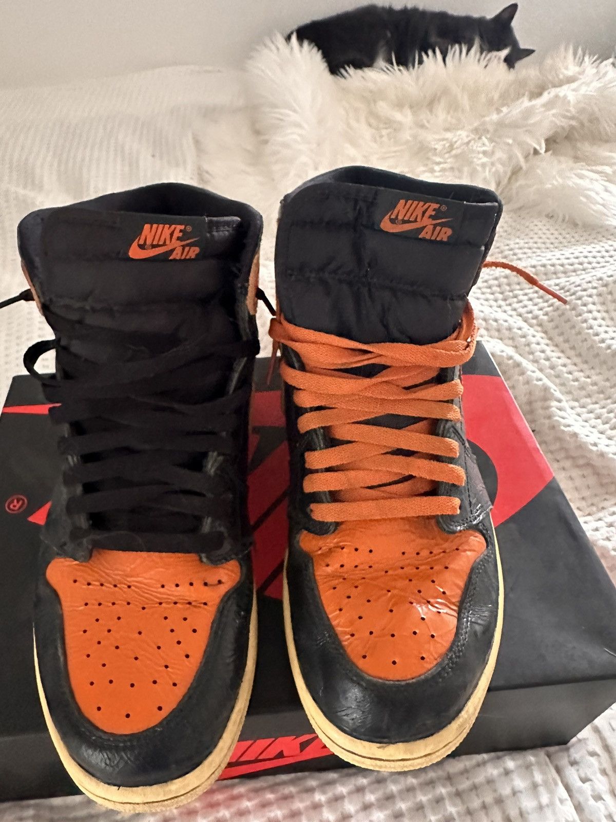 Jordan Brand × Nike Jordan 1 Shattered Backboard Size US 10 / EU 43 - 6 Thumbnail