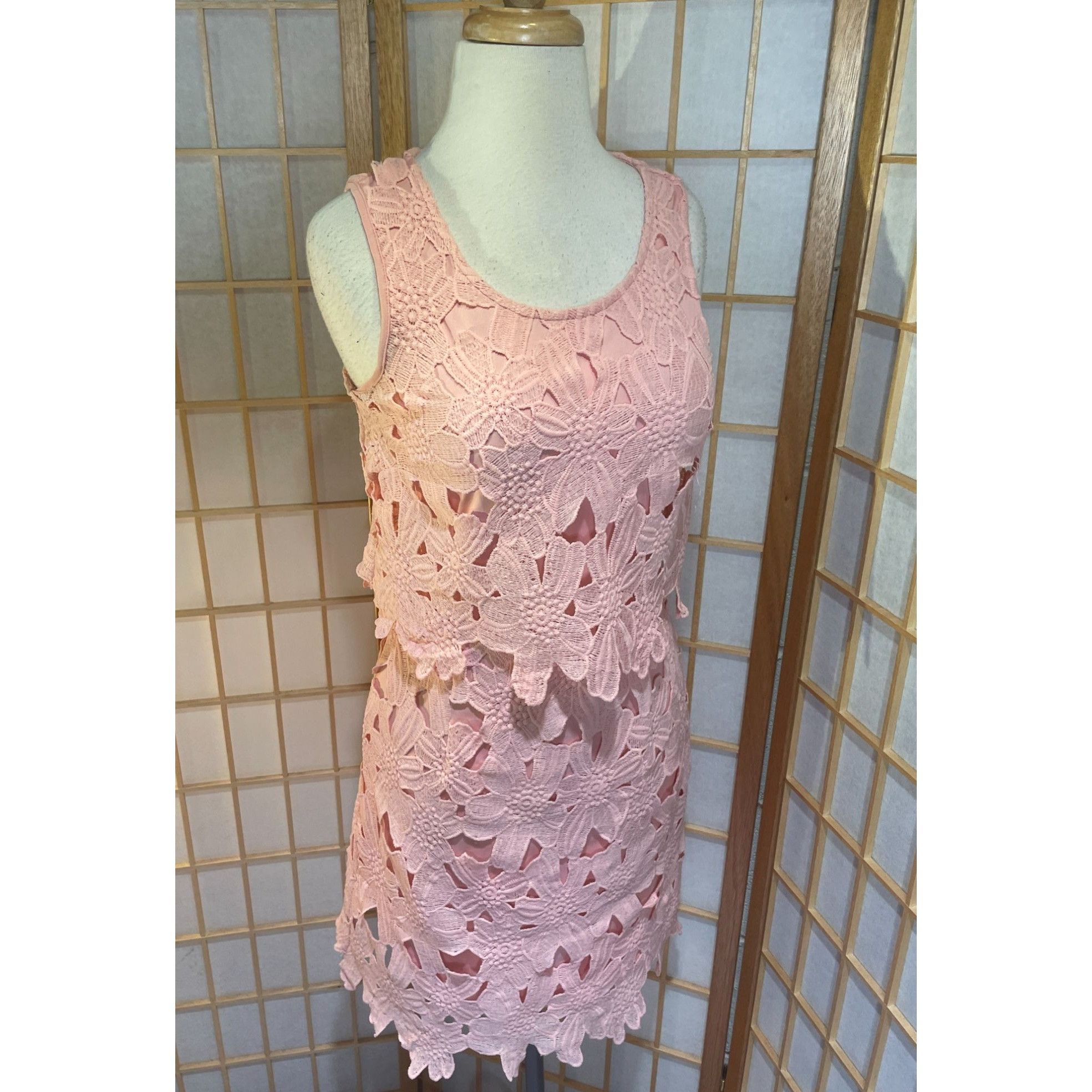 Other Francesca's Miami Sm Lace Floral Dress Size S / US 4 / IT 40 - 14 Thumbnail