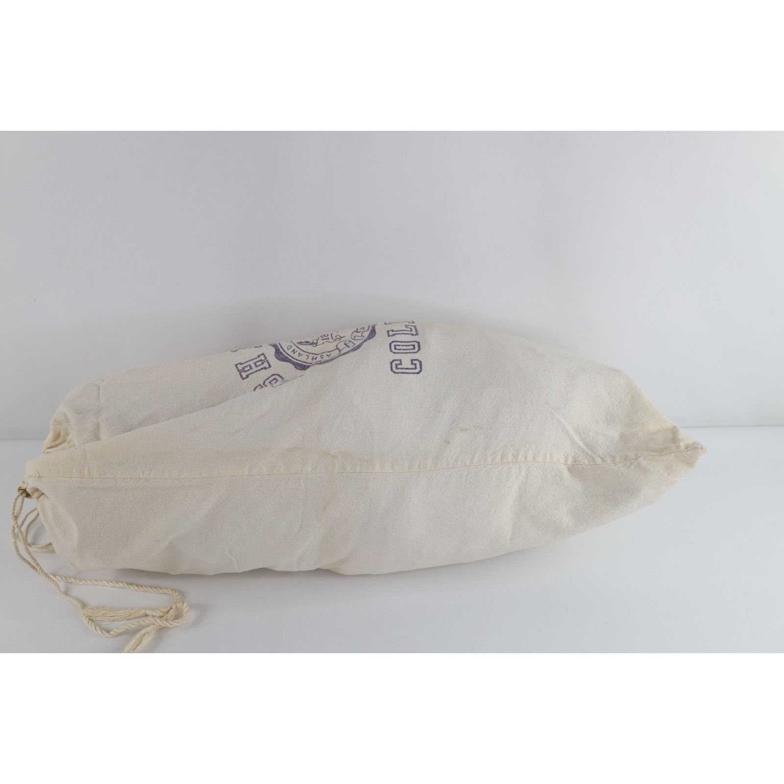 Vintage Vintage 70s Distressed Ashland College University Canvas Bag Size ONE SIZE - 4 Thumbnail
