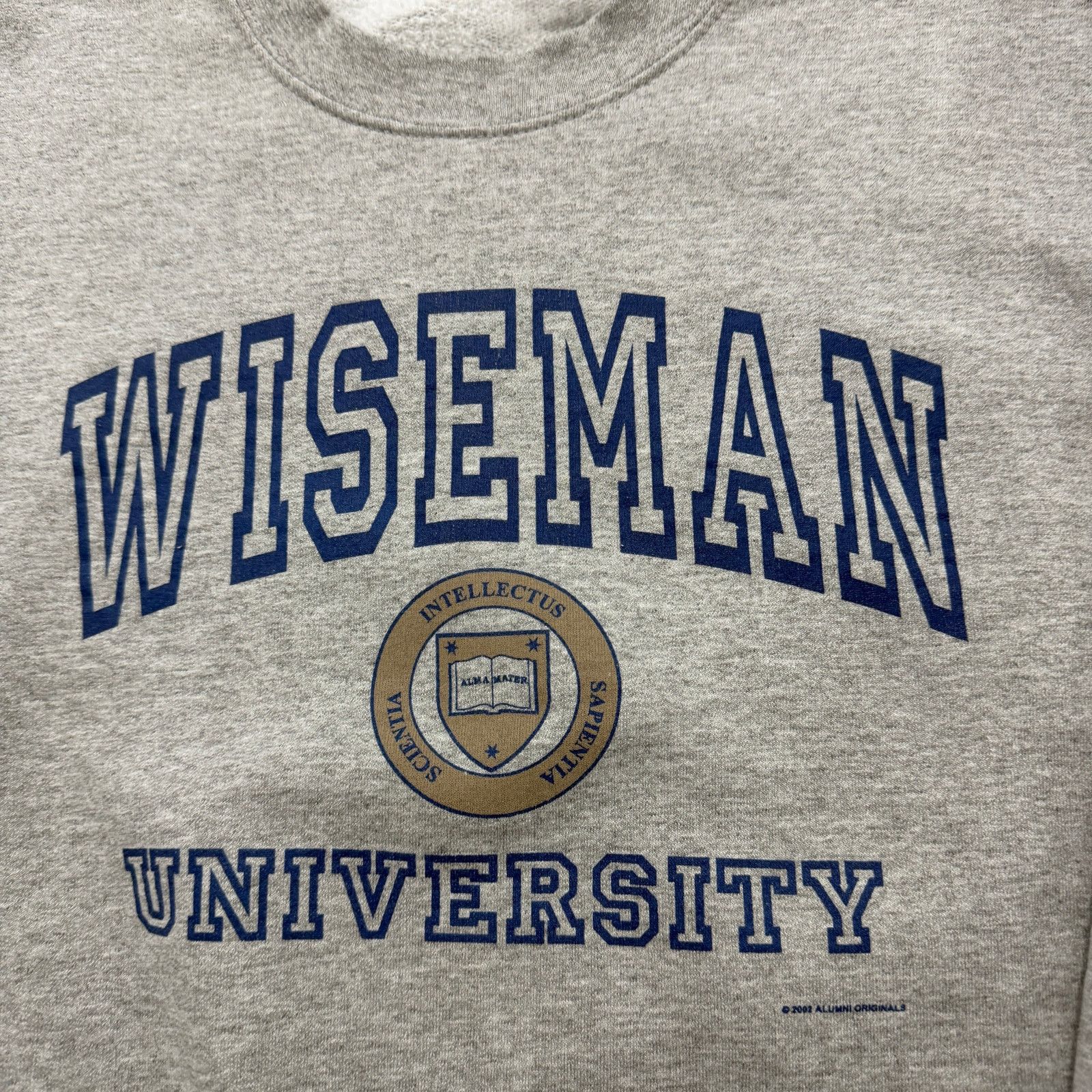 Vintage Vintage Wiseman University Sweatshirt Size Large Crewneck Size US L / EU 52-54 / 3 - 3 Thumbnail