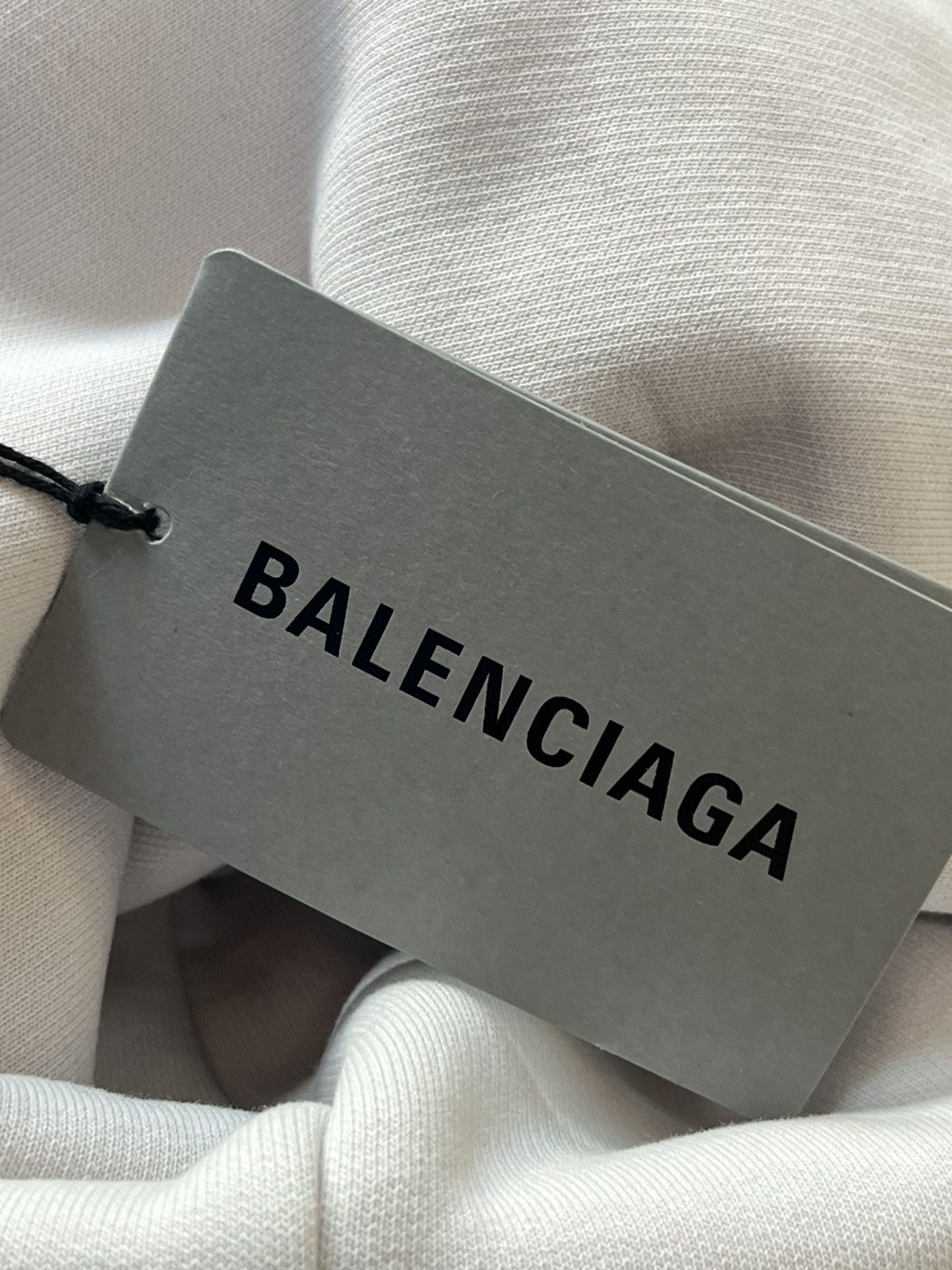 Balenciaga Balenciaga Business zip up hoodie logo xxl Size US XXL / EU 58 / 5 - 20 Thumbnail