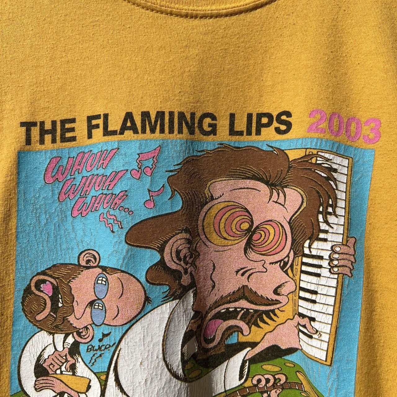 Band Tees The Flaming Lips Vintage Tour T-Shirt Size US M / EU 48-50 / 2 - 5 Thumbnail