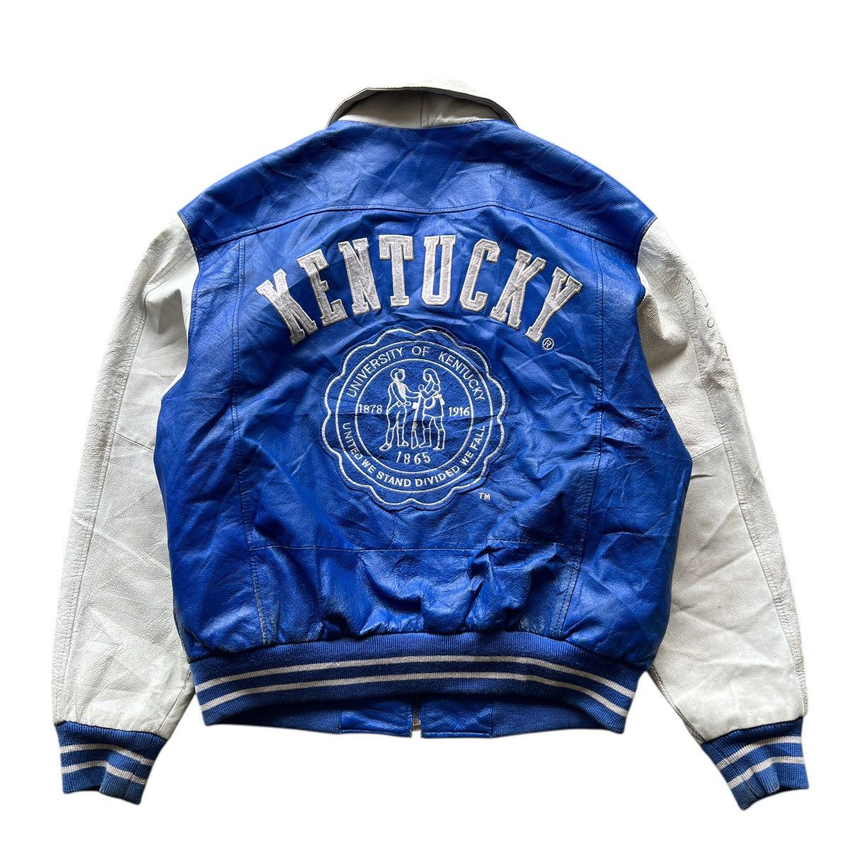 Vintage Vintage kentucky Wildcat Leather Bomber Jacket Size US L / EU 52-54 / 3 - 1 Thumbnail