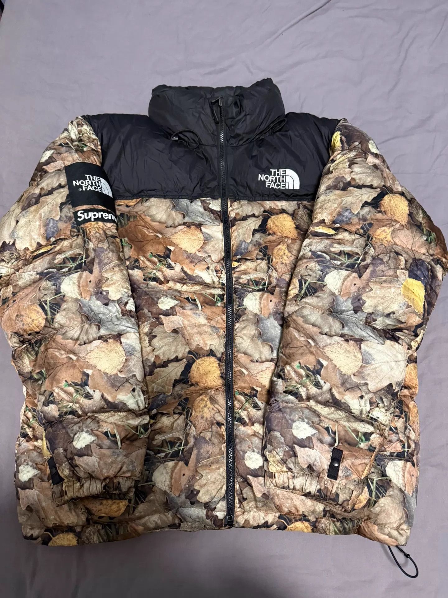 Supreme Supreme TNF Leaf Down Jacket XL Good Condition Rare Size US XL / EU 56 / 4 - 1 Thumbnail