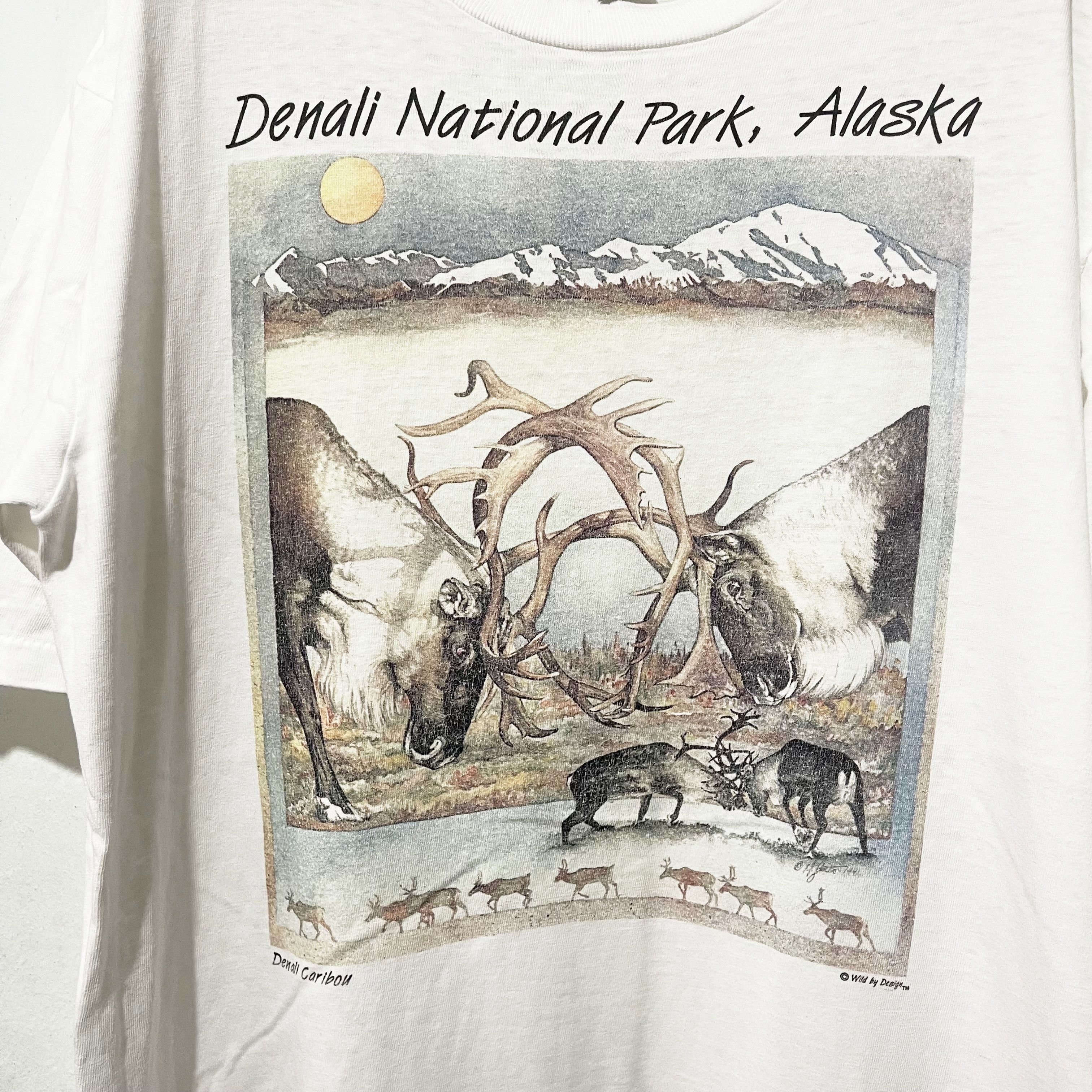 Vintage Vintage 90s Alaska National Park T-ShirT Size US L / EU 52-54 / 3 - 2 Thumbnail