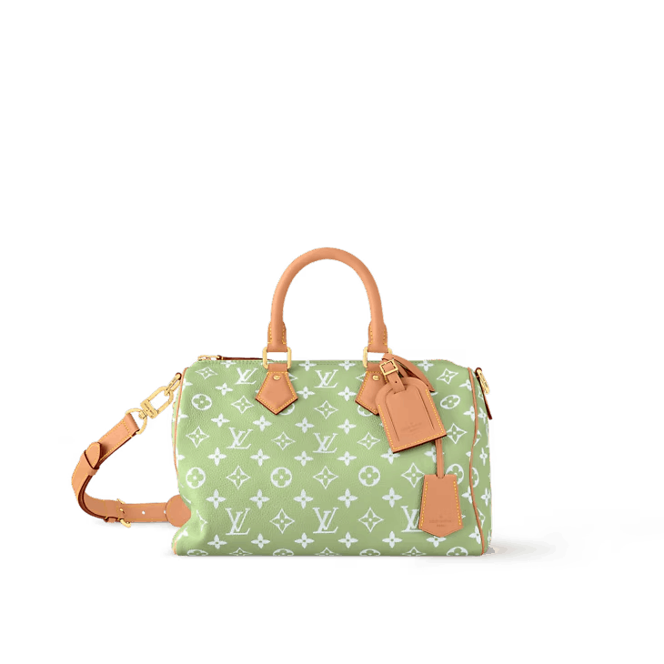 Speedy P9 Bandoulière 30 Bag