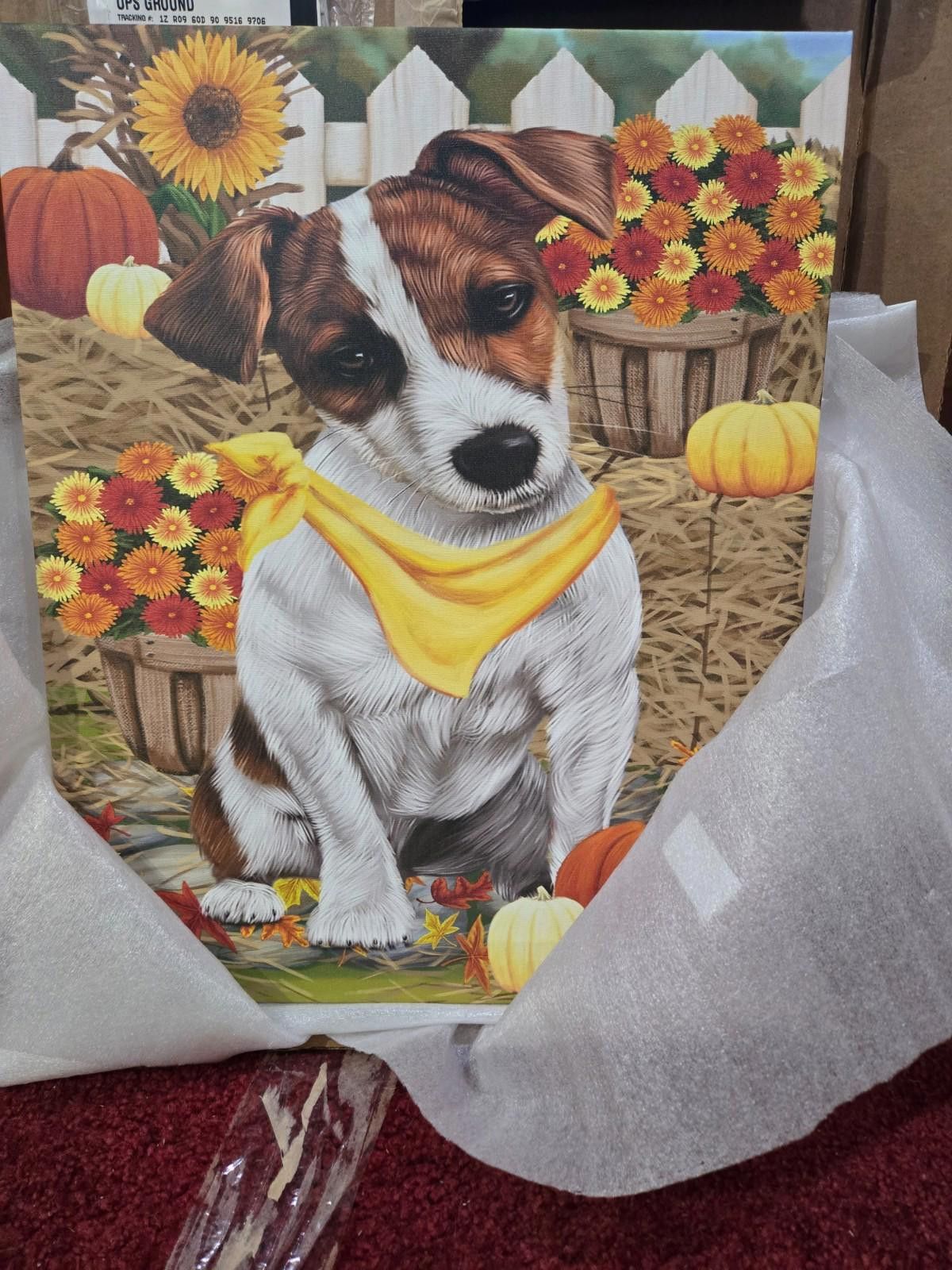 Other Jack Russell Canvas NEW Fall Pumpkins 16x20 Ready to Hang Size ONE SIZE - 6 Thumbnail