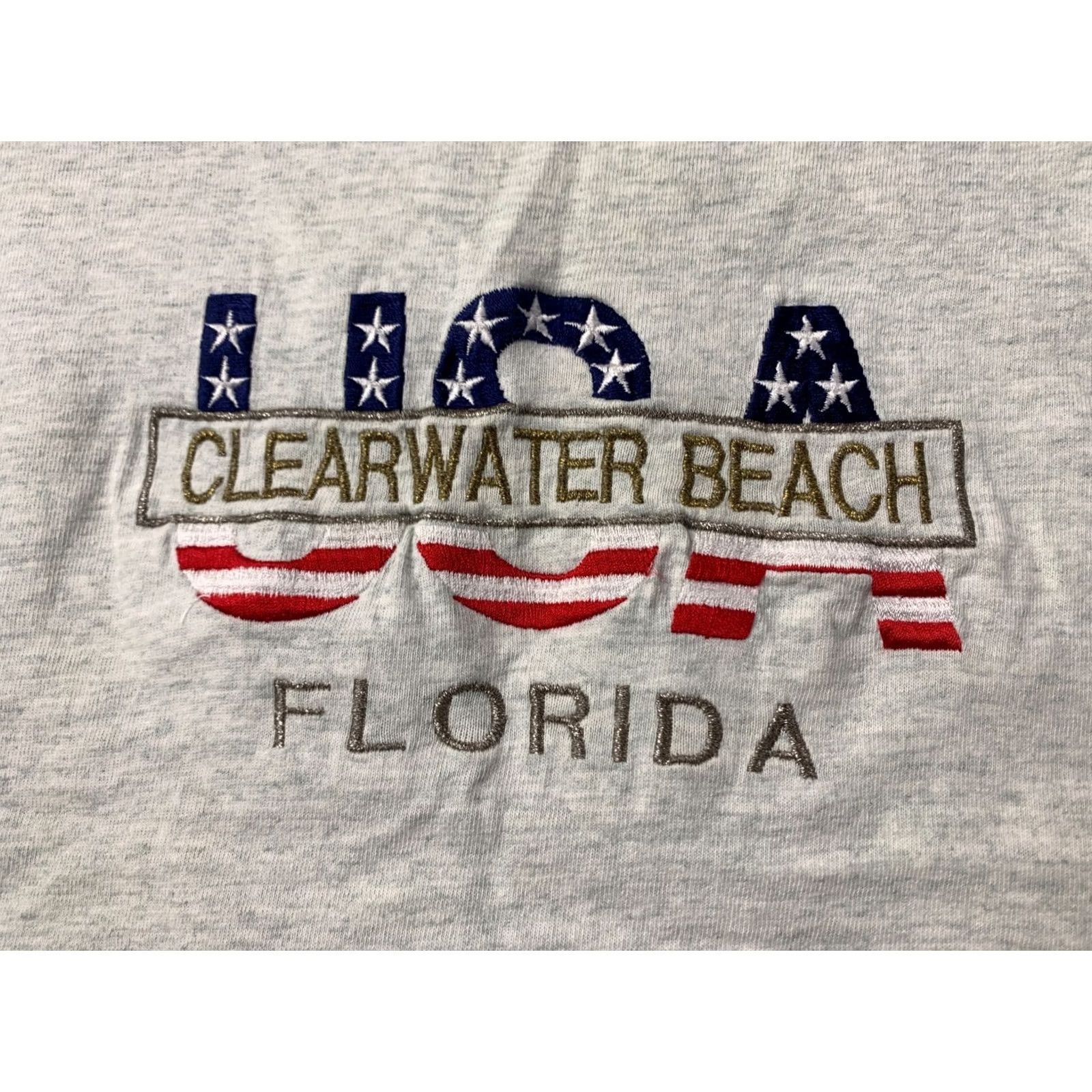 Fruit Of The Loom VINTAGE USA CLEARWATER BEACH FLORIDA BAND SHIRT JERSEY TEE SIZE L LARGE 2000'S Gray Mens Size US L / EU 52-54 / 3 - 3 Thumbnail