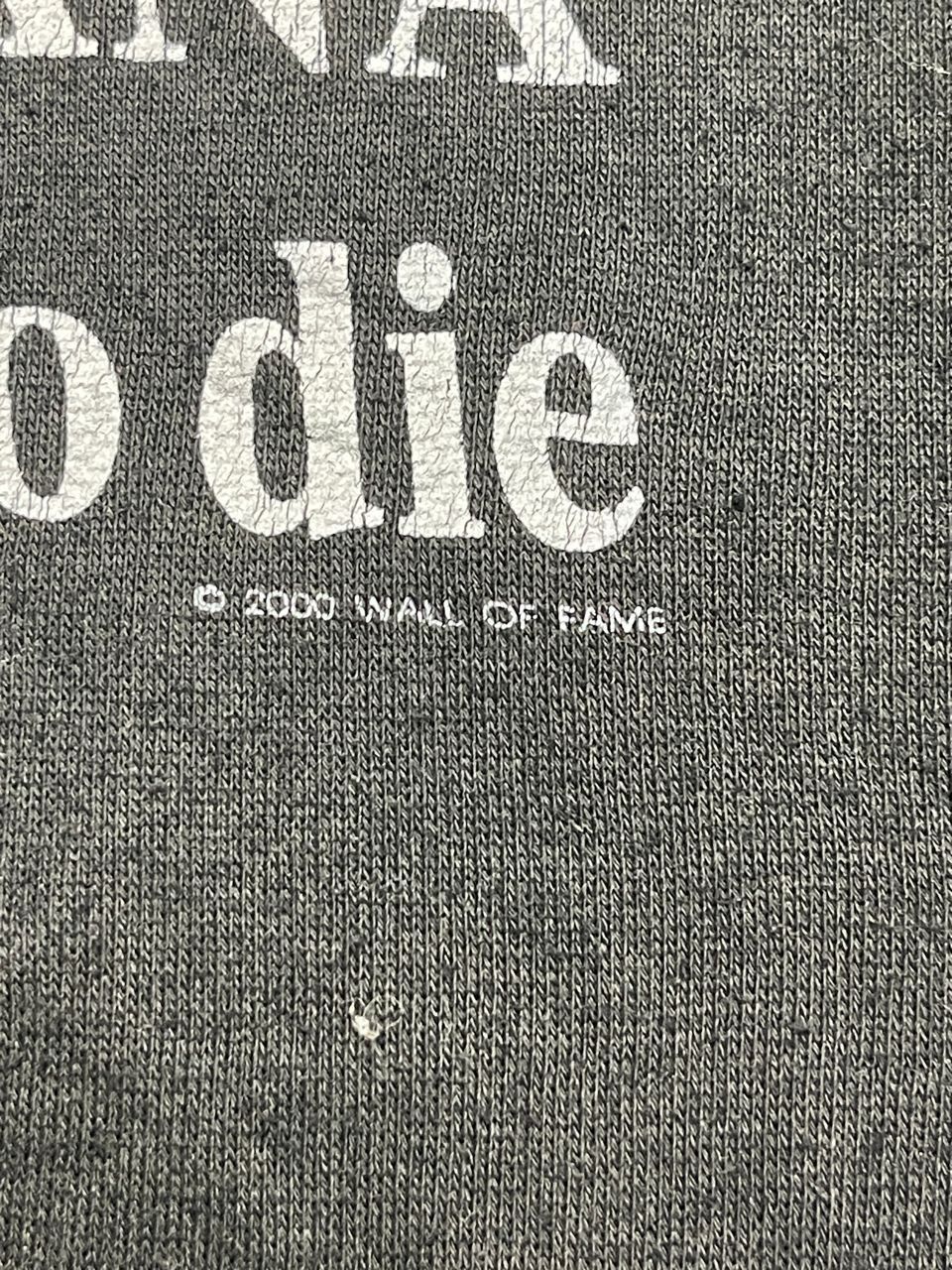 Vintage Vintage Wall Of Fame Kurt Cobian Hoodie Size US L / EU 52-54 / 3 - 5 Thumbnail