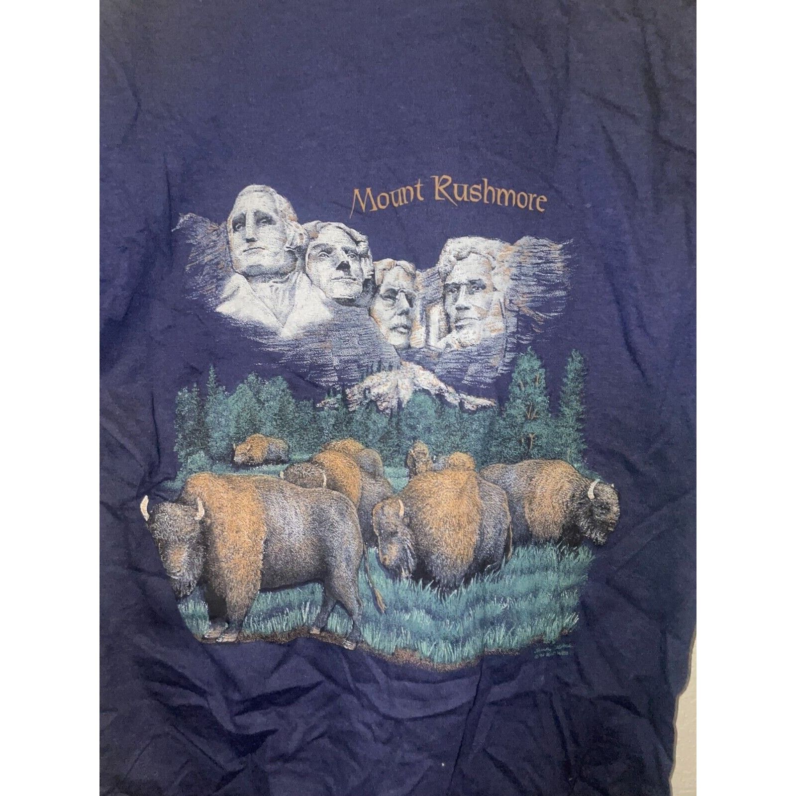 Jerzees Vintage Mount Rushmore Shirt President Bison Blue Tee 90s M Size US M / EU 48-50 / 2 - 9 Thumbnail