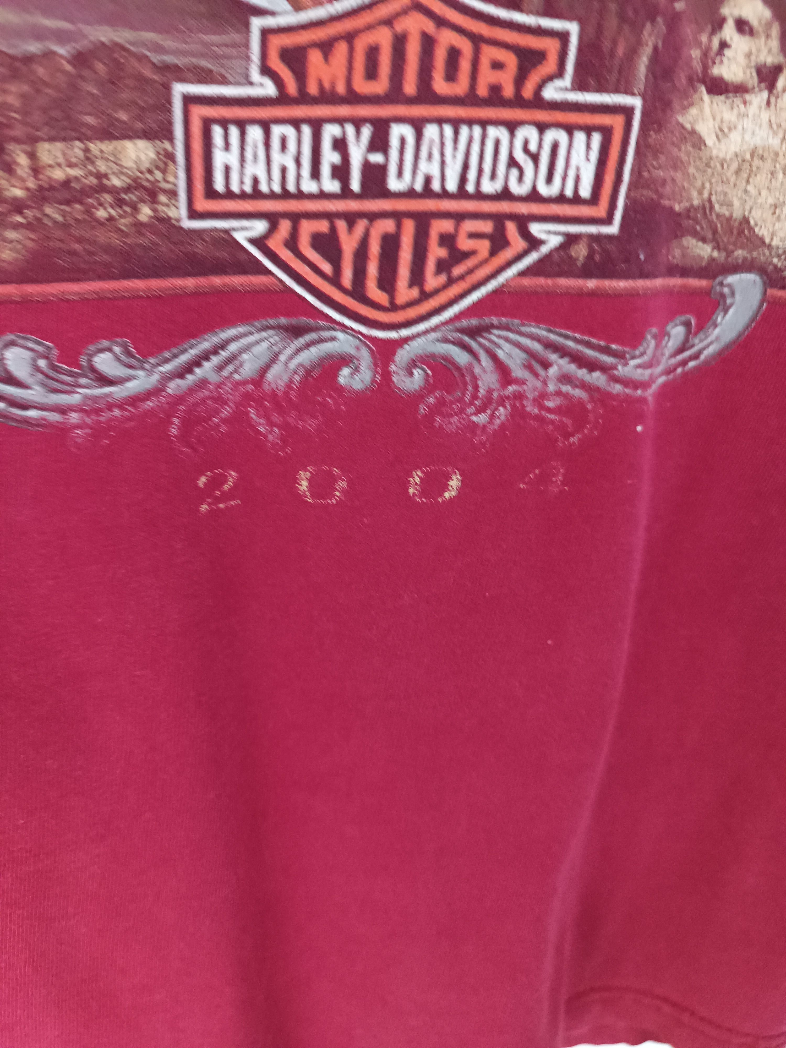 Harley Davidson THRASH FADED VINTAGE 2004 HARLEY DAVIDSON STURGIS CHOPPER Size US M / EU 48-50 / 2 - 21 Thumbnail