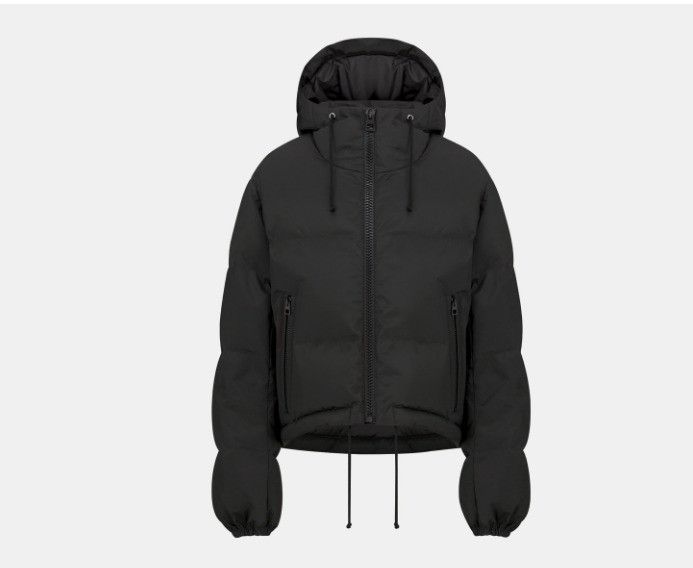 Dior o1w1db10225 327C21A2 Hooded Puffer Jacket in Black Size S / US 4 / IT 40 - 1 Thumbnail