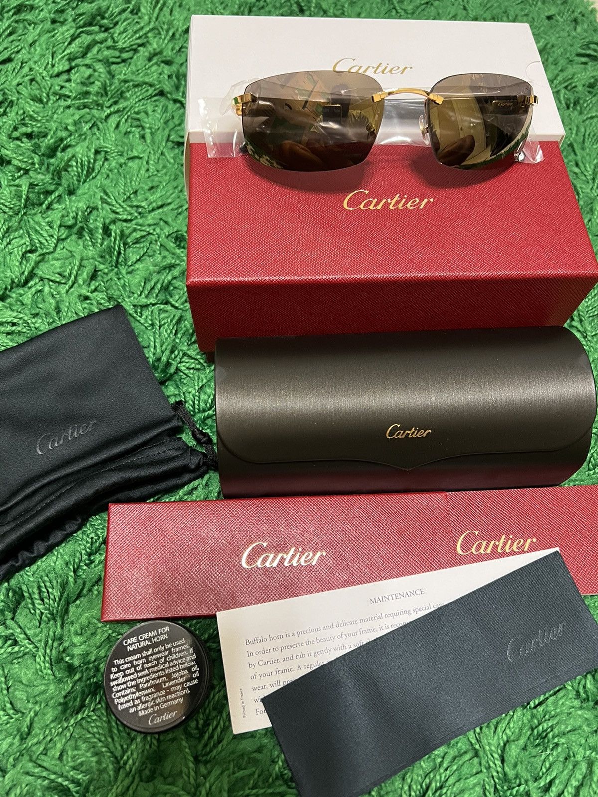 Cartier Cartier Buffalo Horn Sunglasses “Buffs” Size ONE SIZE - 2 Thumbnail