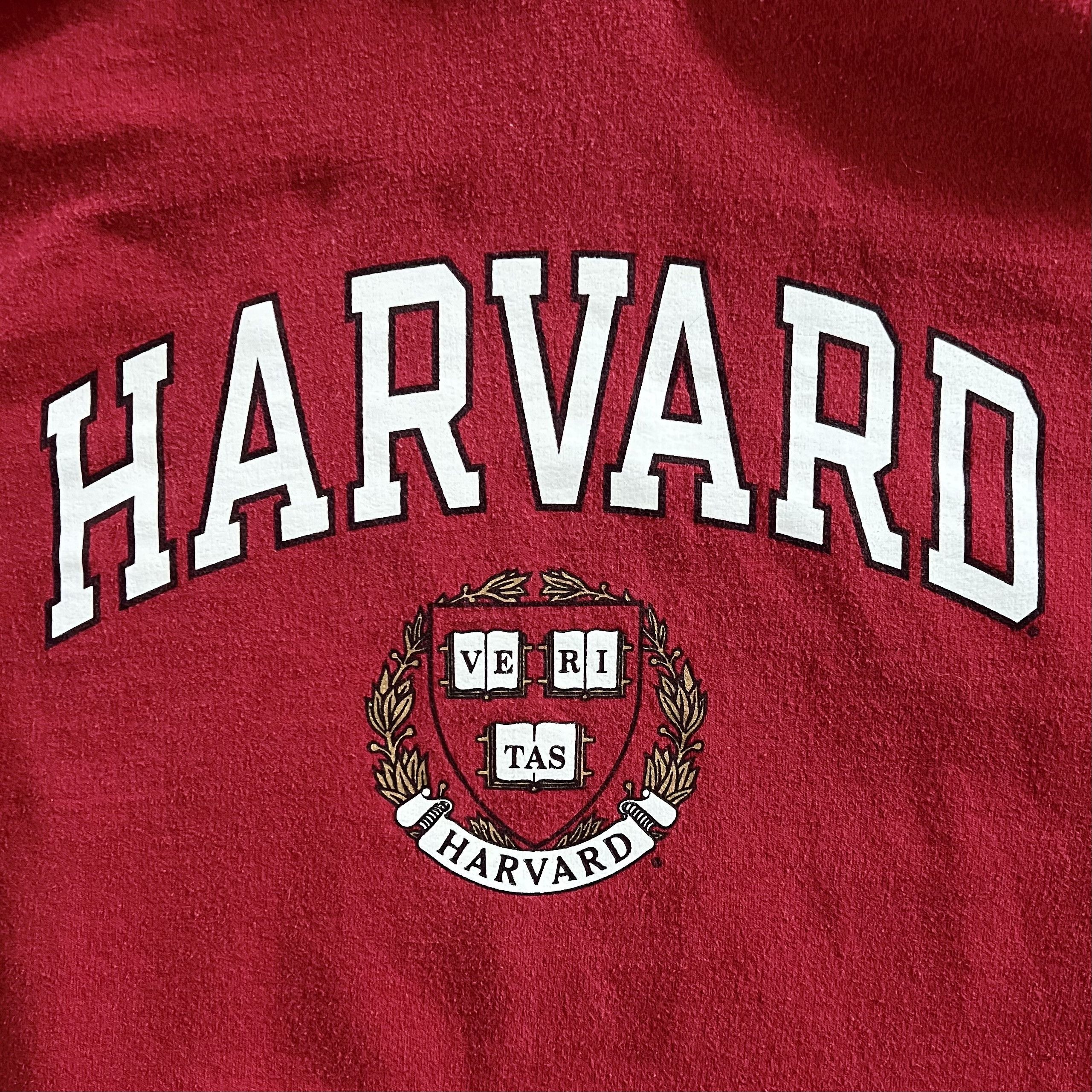 Champion Harvard University x Champion Hoodie Size US M / EU 48-50 / 2 - 2 Thumbnail