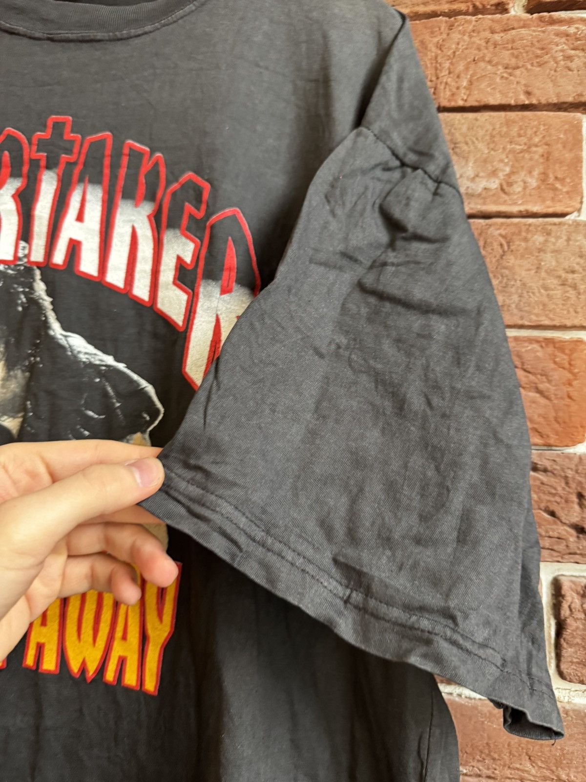 Vintage dry rot Vintage Undertaker Takes You Tee WWF 90s wrestling L Size US L / EU 52-54 / 3 - 2 Thumbnail