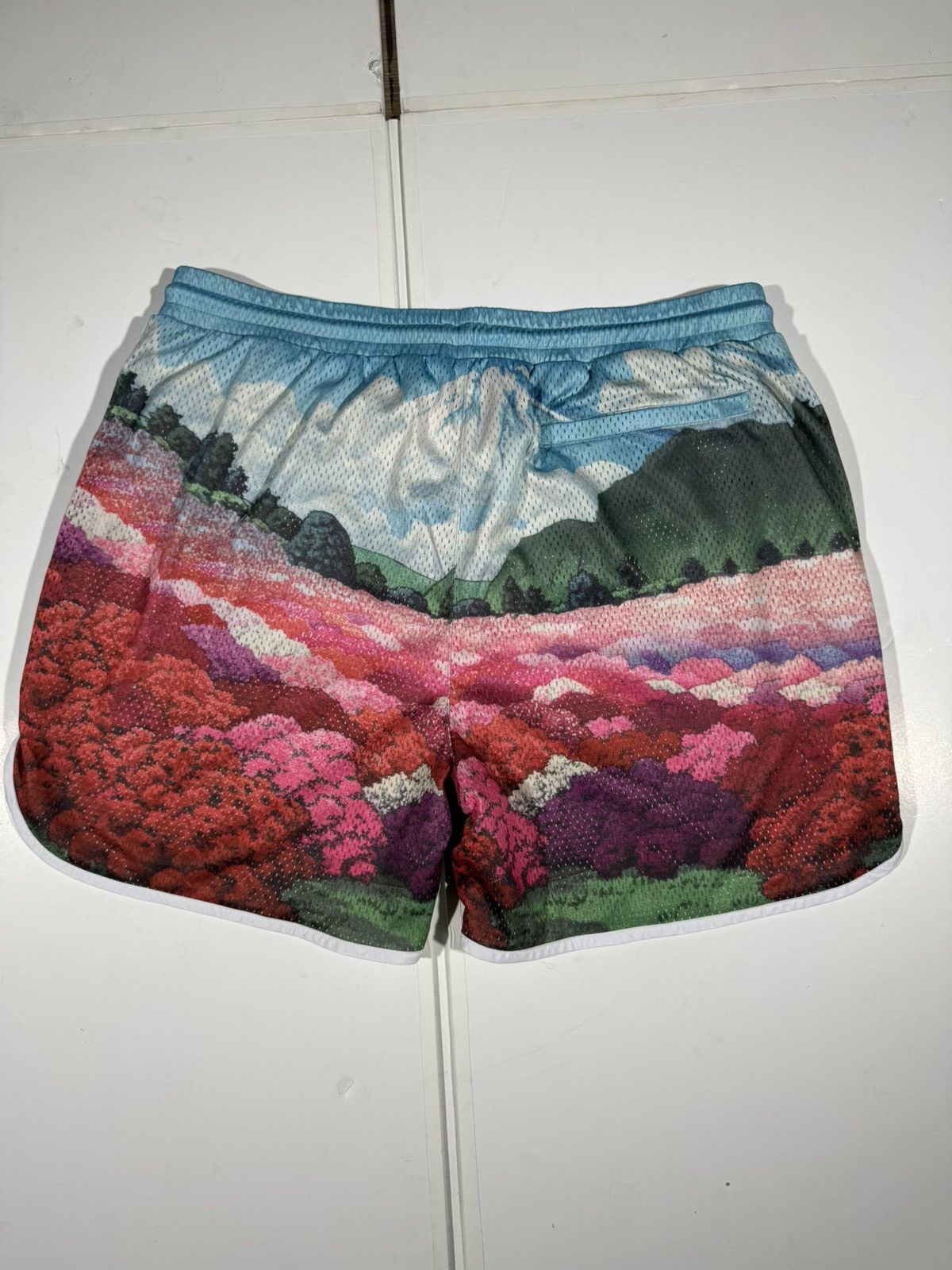 Kith Kith Mountain Graphic Print Jersey Shorts Size US 40 / EU 56 - 5 Thumbnail