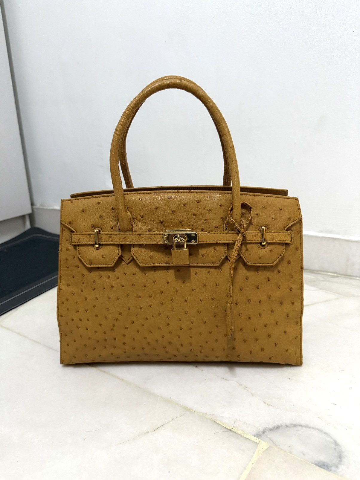 Japanese Brand Ostrich Patina Leather mini inspired hermes Birkin bag Size ONE SIZE - 1 Thumbnail