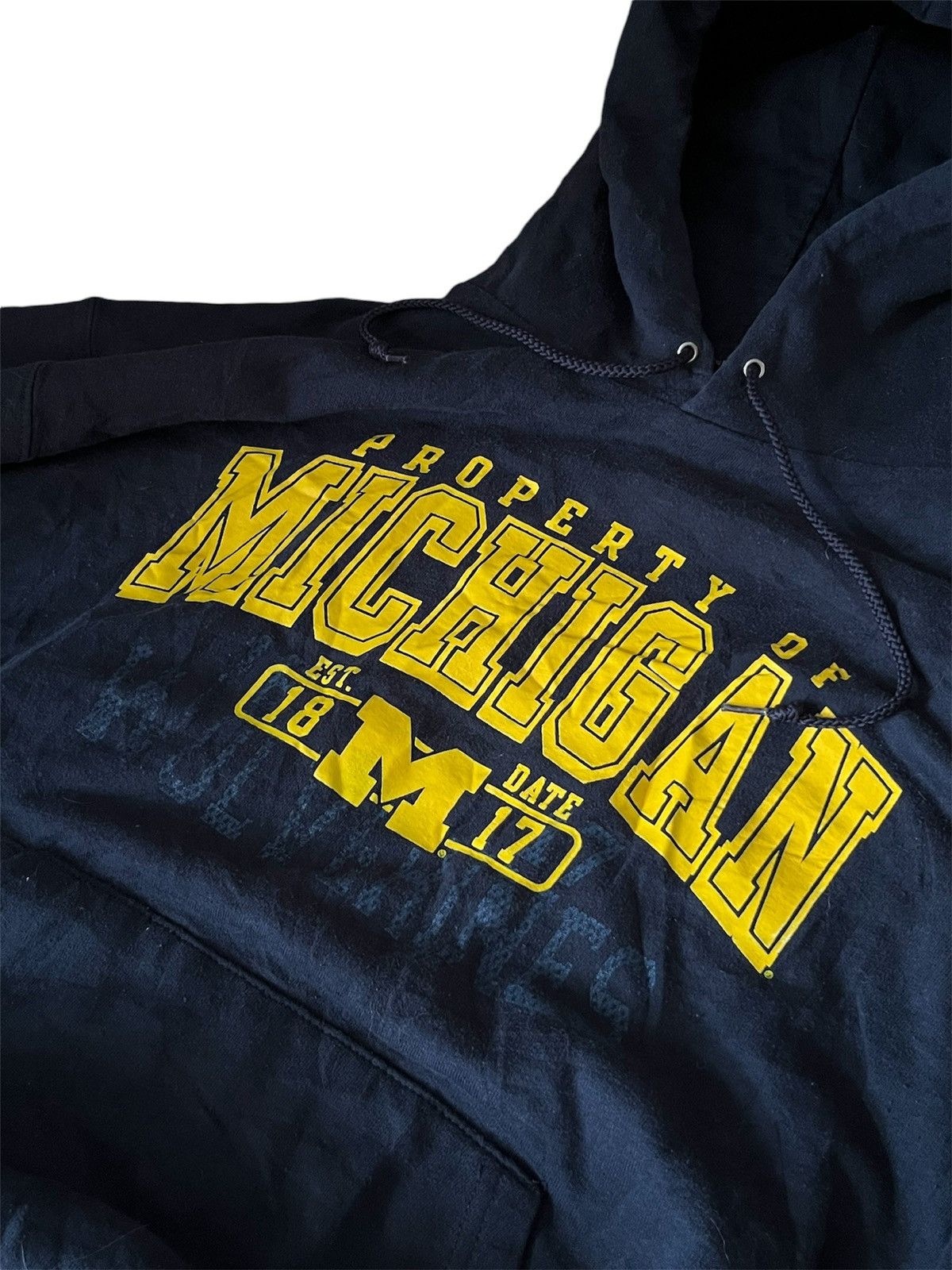 Champion Champion Vintage Property of Michigan Wolverines Hoodie Size US L / EU 52-54 / 3 - 6 Thumbnail