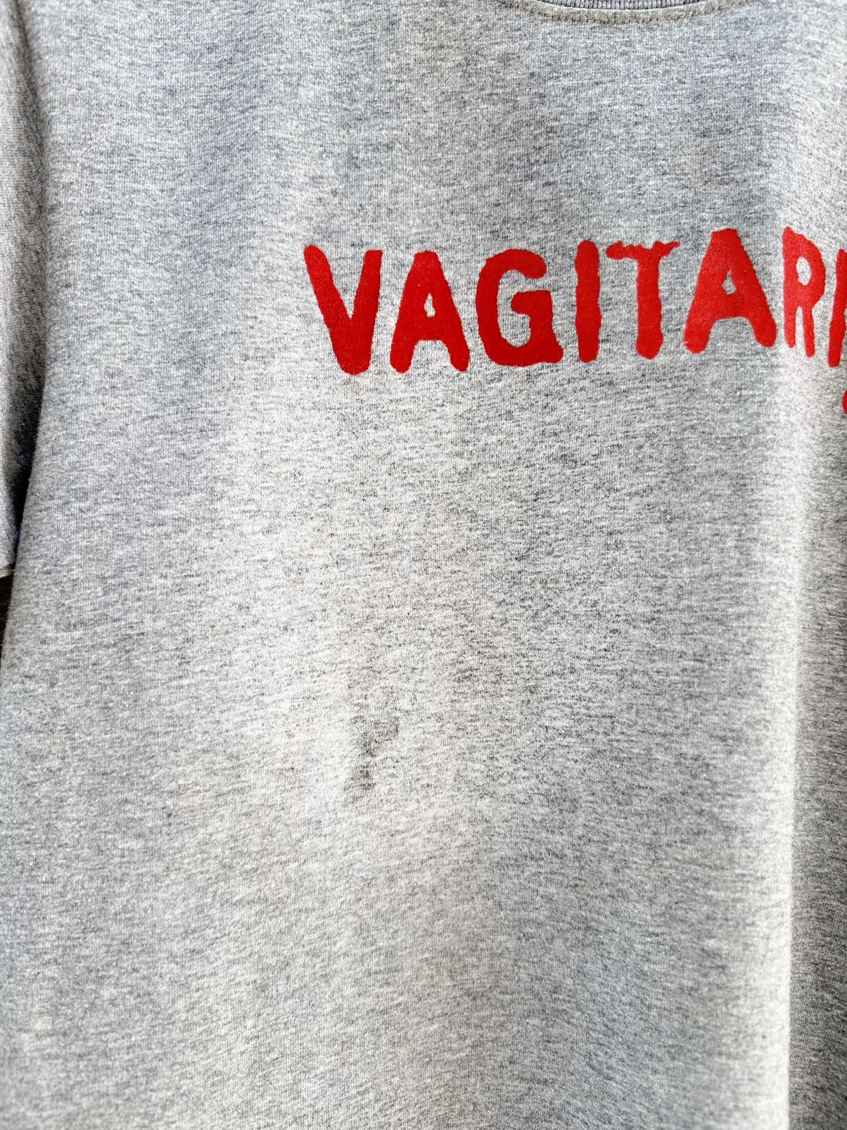 Hook-Ups Vintage 90s Porn Star Vagitarian Skateboard Faded Tee Size US M / EU 48-50 / 2 - 3 Thumbnail