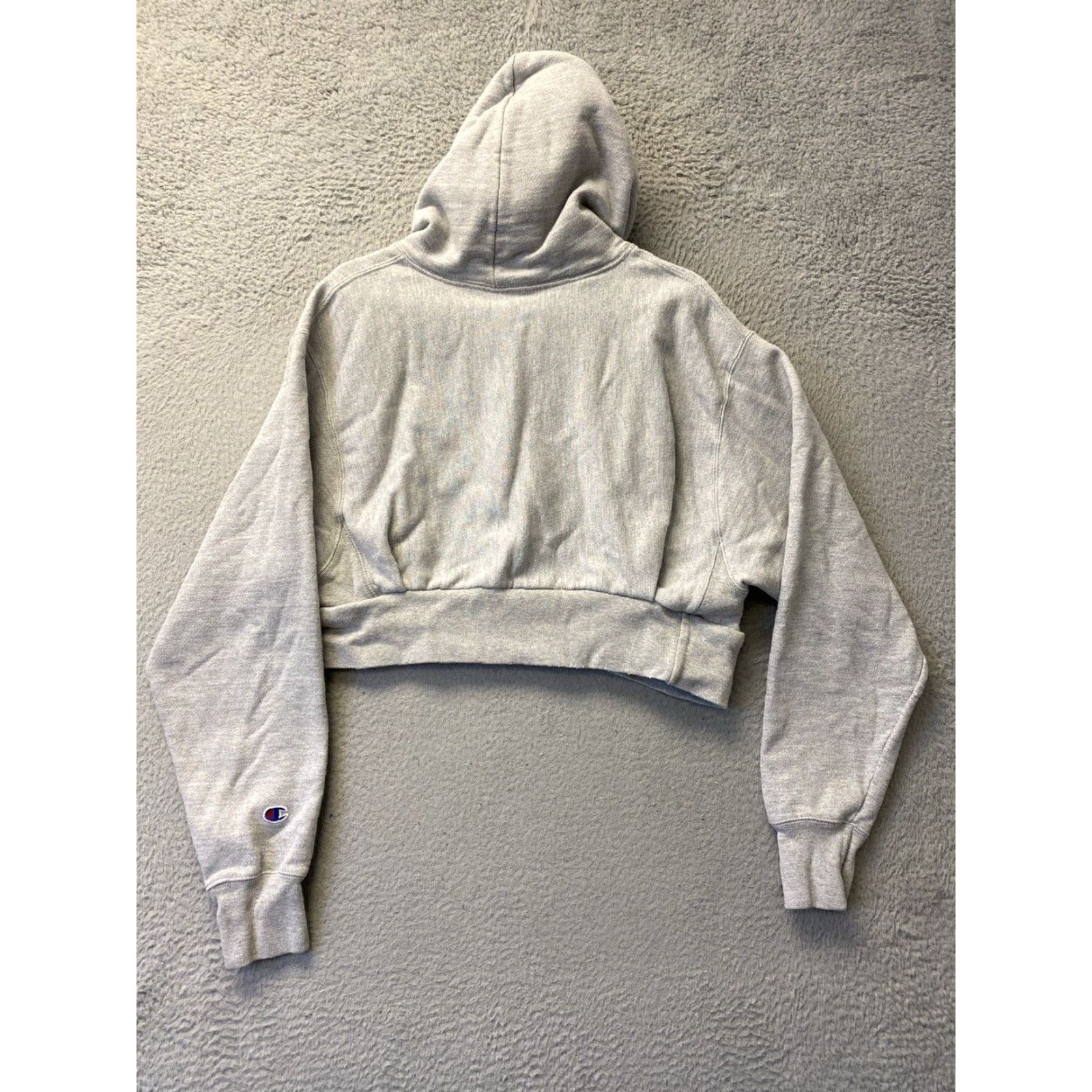 Champion VINTAGE Champion Reverse Weave Hoodie Women's L Gray Embroidered Activewear Reversible Logo Size L / US 10 / IT 46 - 7 Thumbnail