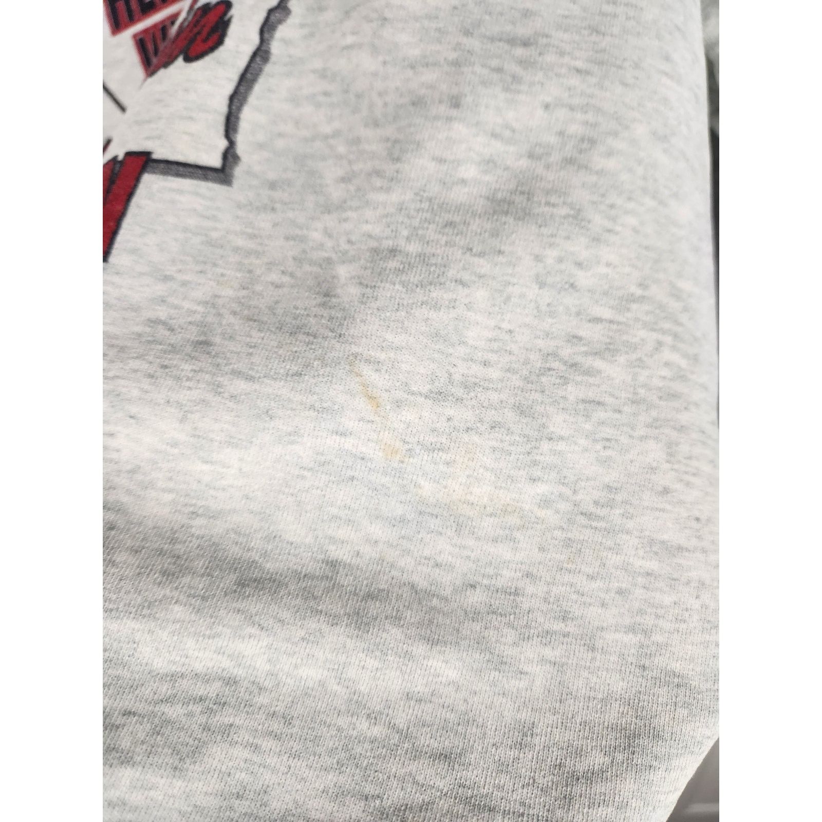 Fruit Of The Loom Vintage Y2K Wisconsin Football Crewneck Men's large Size US L / EU 52-54 / 3 - 5 Thumbnail
