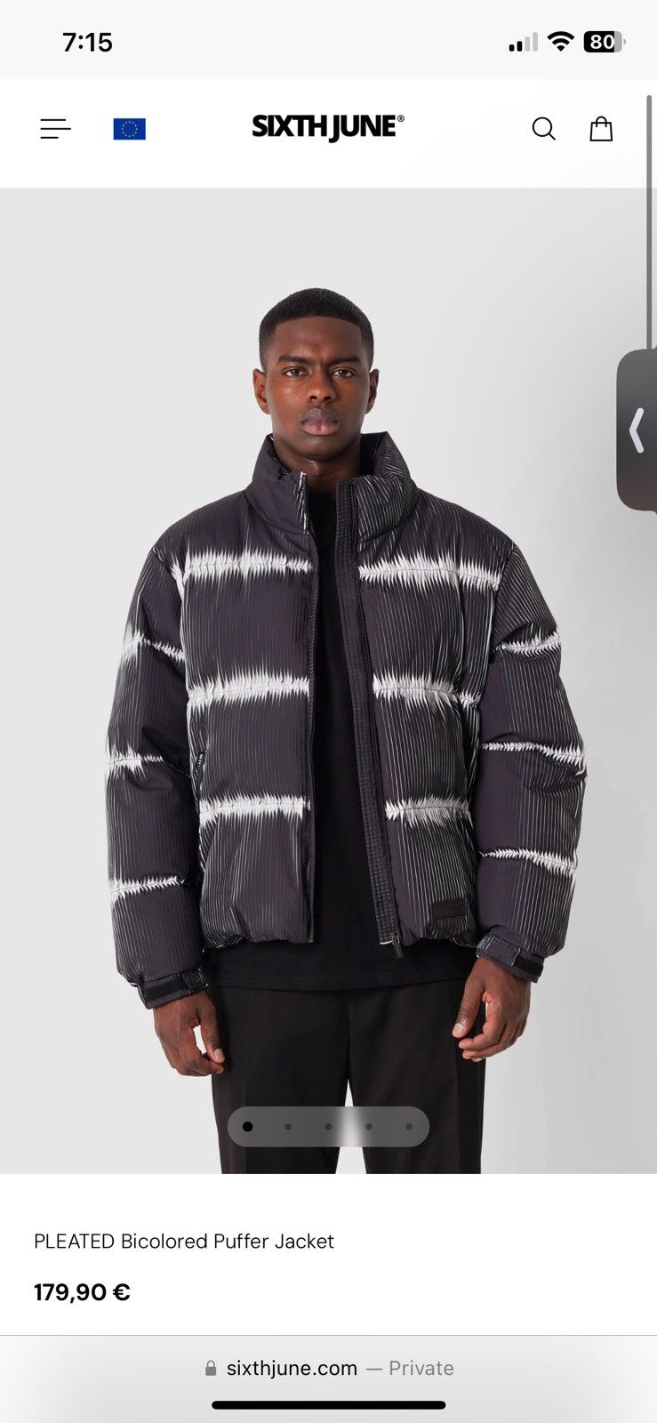 Sixth June Perforated Puffer
