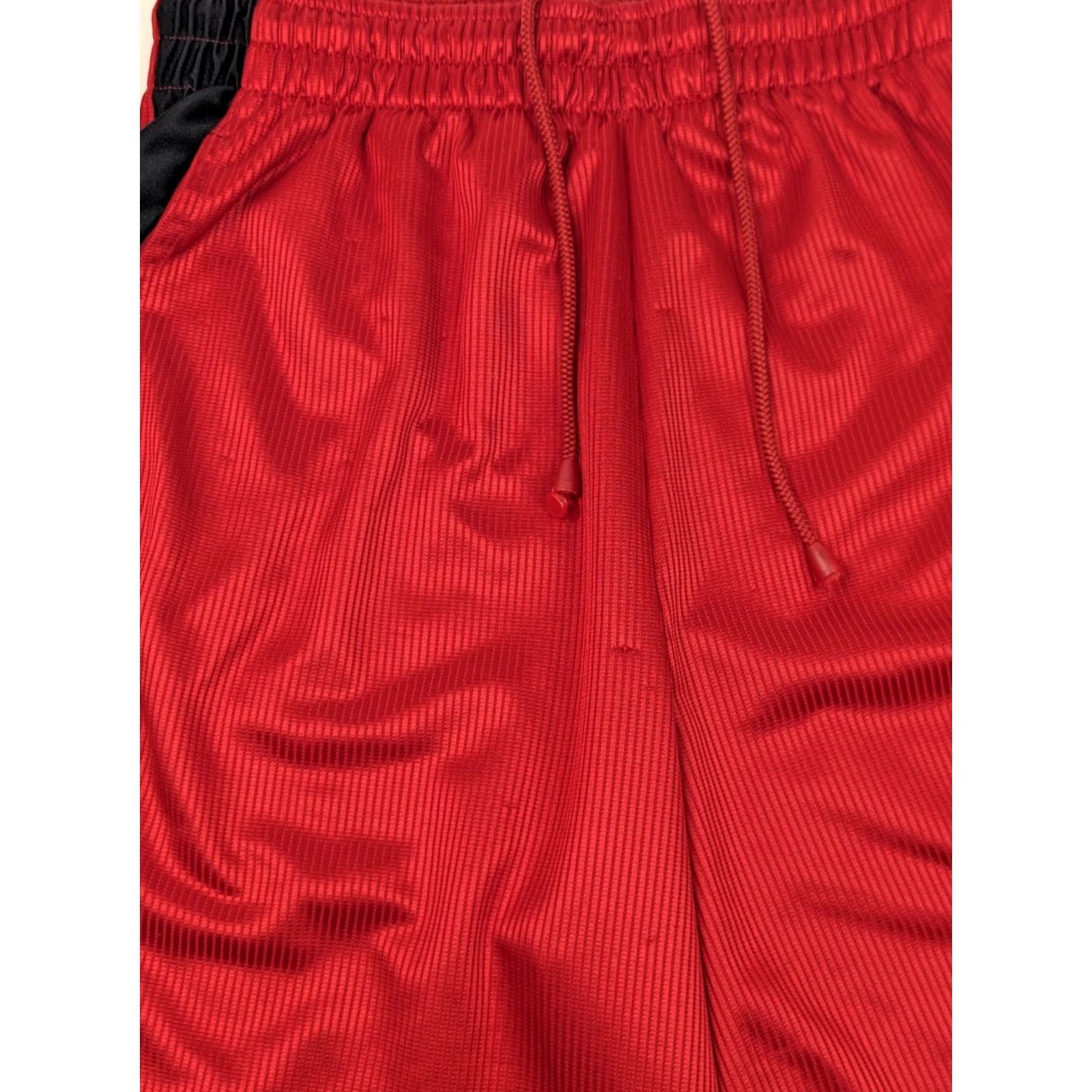 Nike Nike Jordan DriFit Bred Red Dazzle Basketball Shorts Men S 11 Inseam Vtg 439552 Size US 29 - 5 Thumbnail