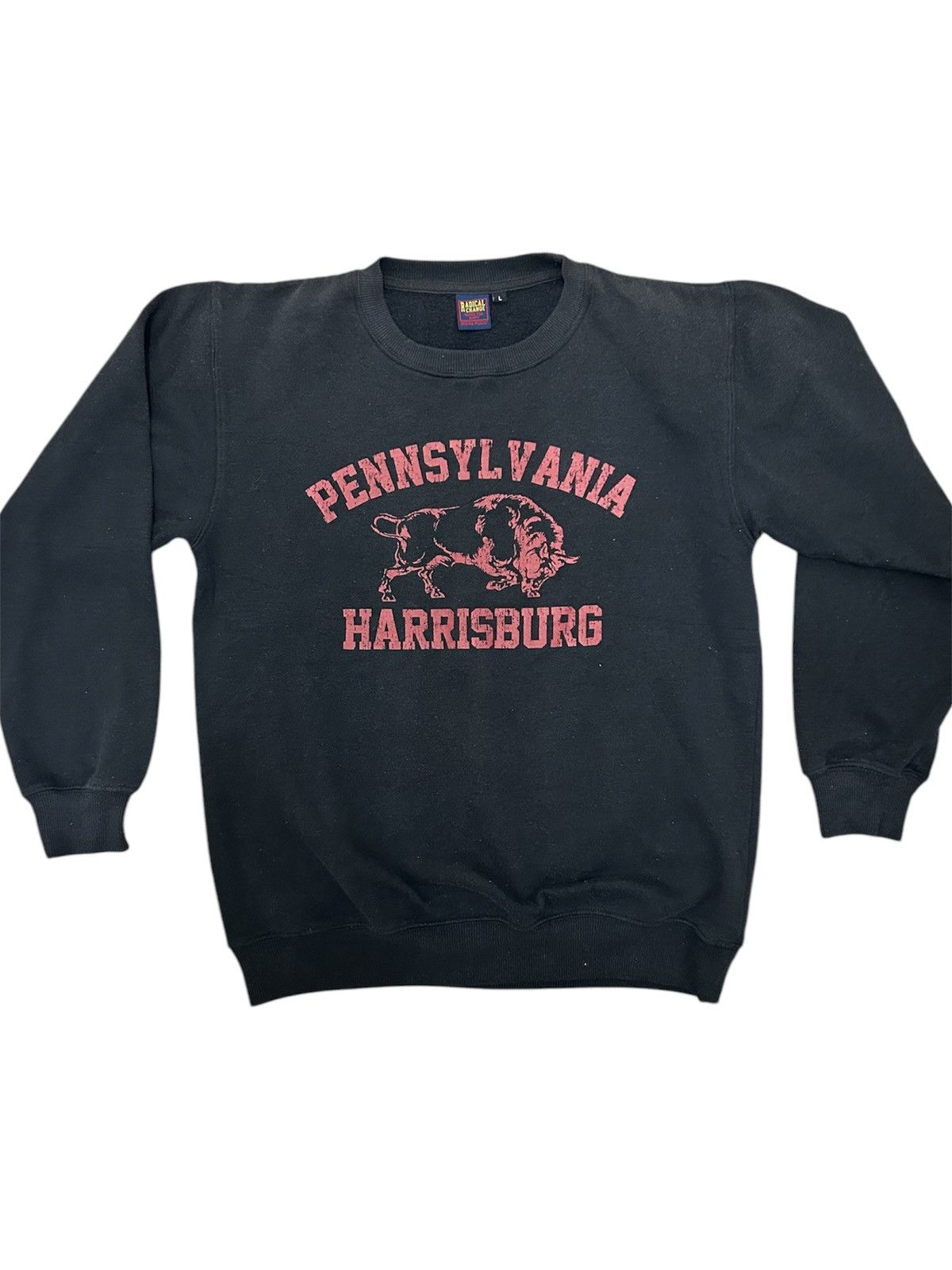 Vintage Vintage Pennsylvania Harrisburg Radical Change Sweatshirt Size US L / EU 52-54 / 3 - 1 Thumbnail