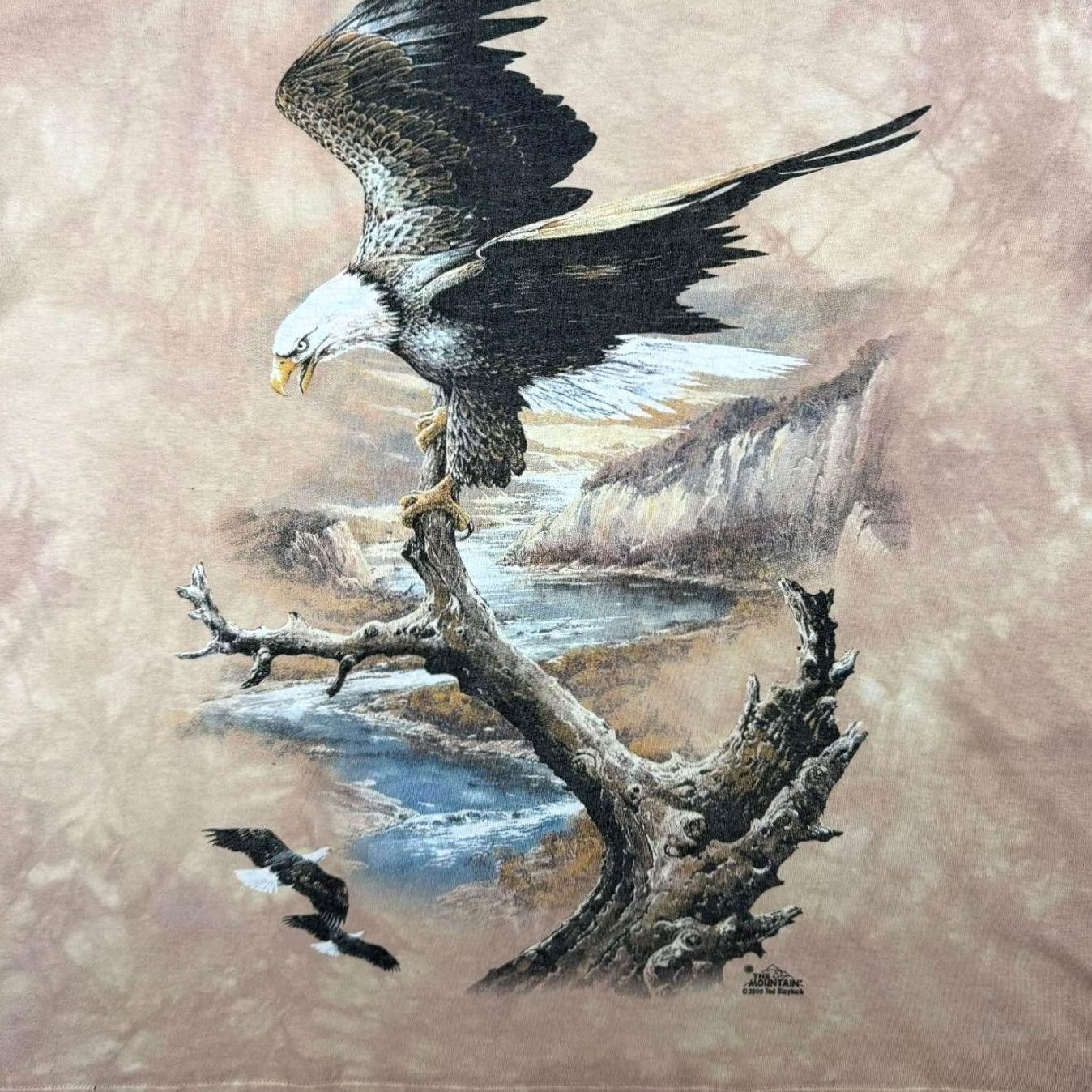 The Mountain VINTAGE The Mountain "Arizona" Eagle Wildlife Tourist Beige Tie Dye T-Shirt XXL Men’s Short Sleeve Crew Neck Graphic Print Size US XXL / EU 58 / 5 - 5 Thumbnail