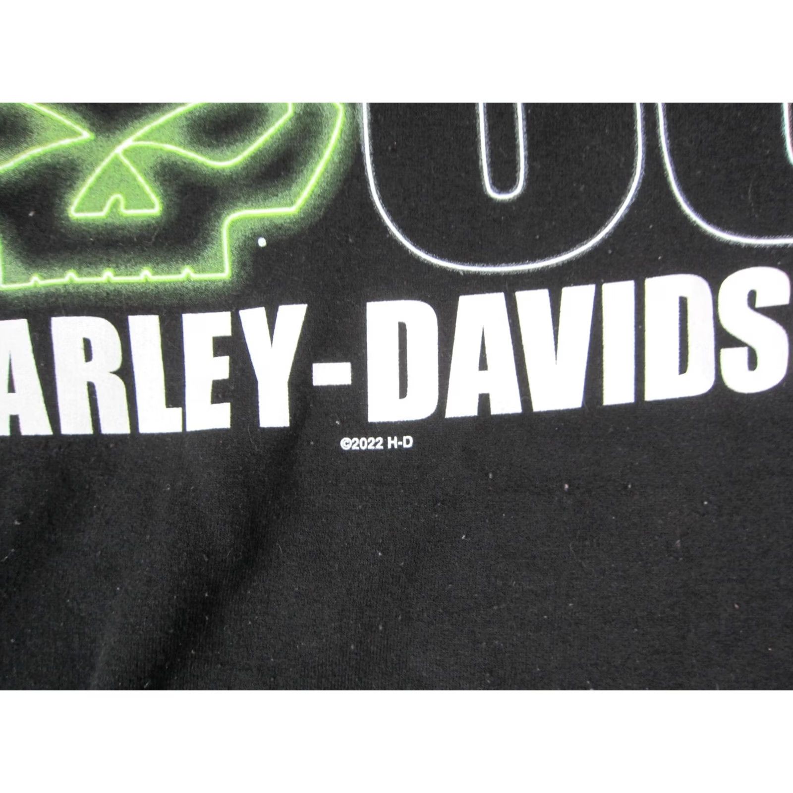 Harley Davidson Harley Davidson Hoodie Mens Large Black Green Skull Cedar Rapids Sweatshirt Size US L / EU 52-54 / 3 - 3 Thumbnail