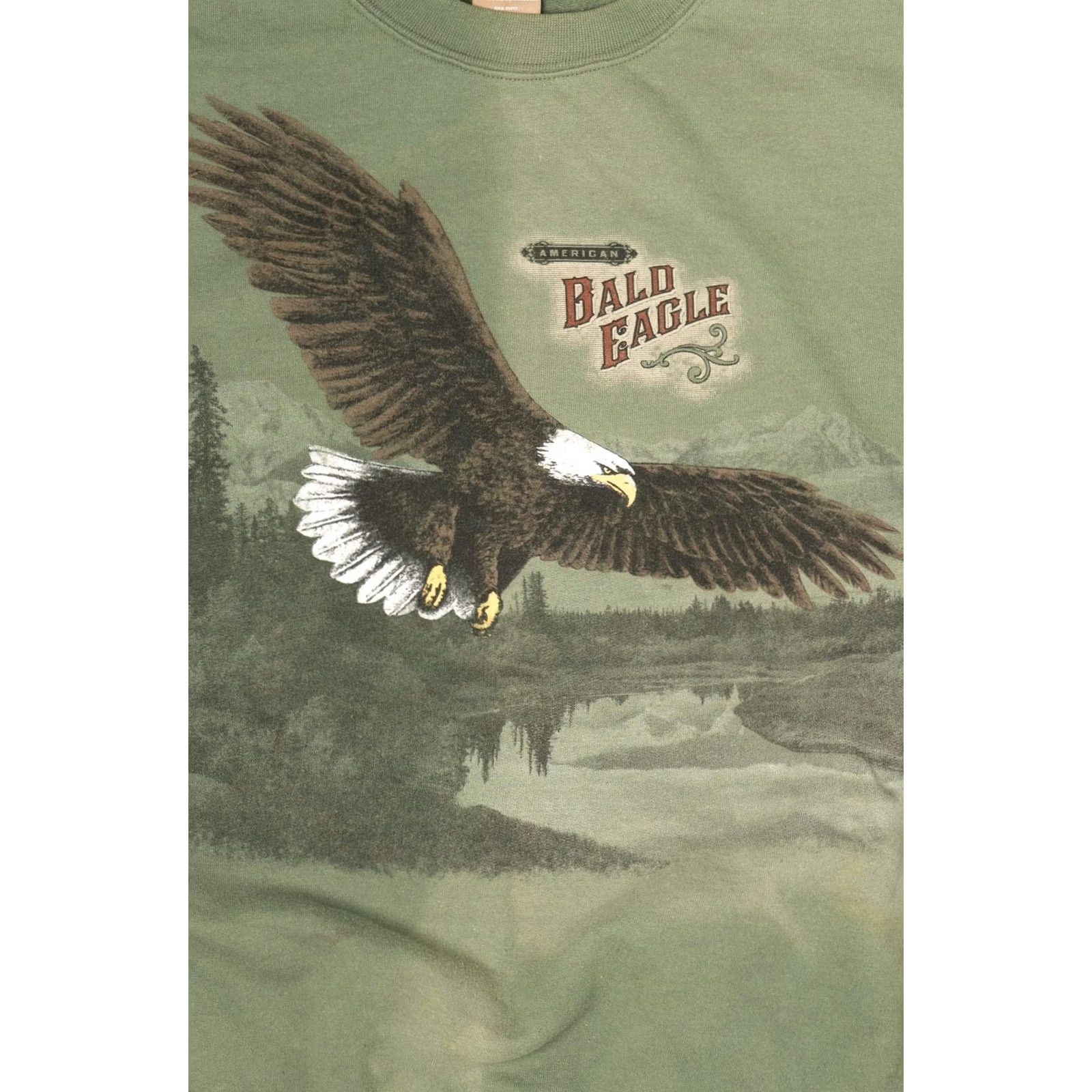 George American Bald Eagle Sun Faded Sweatshirt George Large Green 2010s Mens Womens Unisex Sweatshirt Cotton Polyester Vintage - 2010s (Regular) Size US L / EU 52-54 / 3 - 2 Thumbnail
