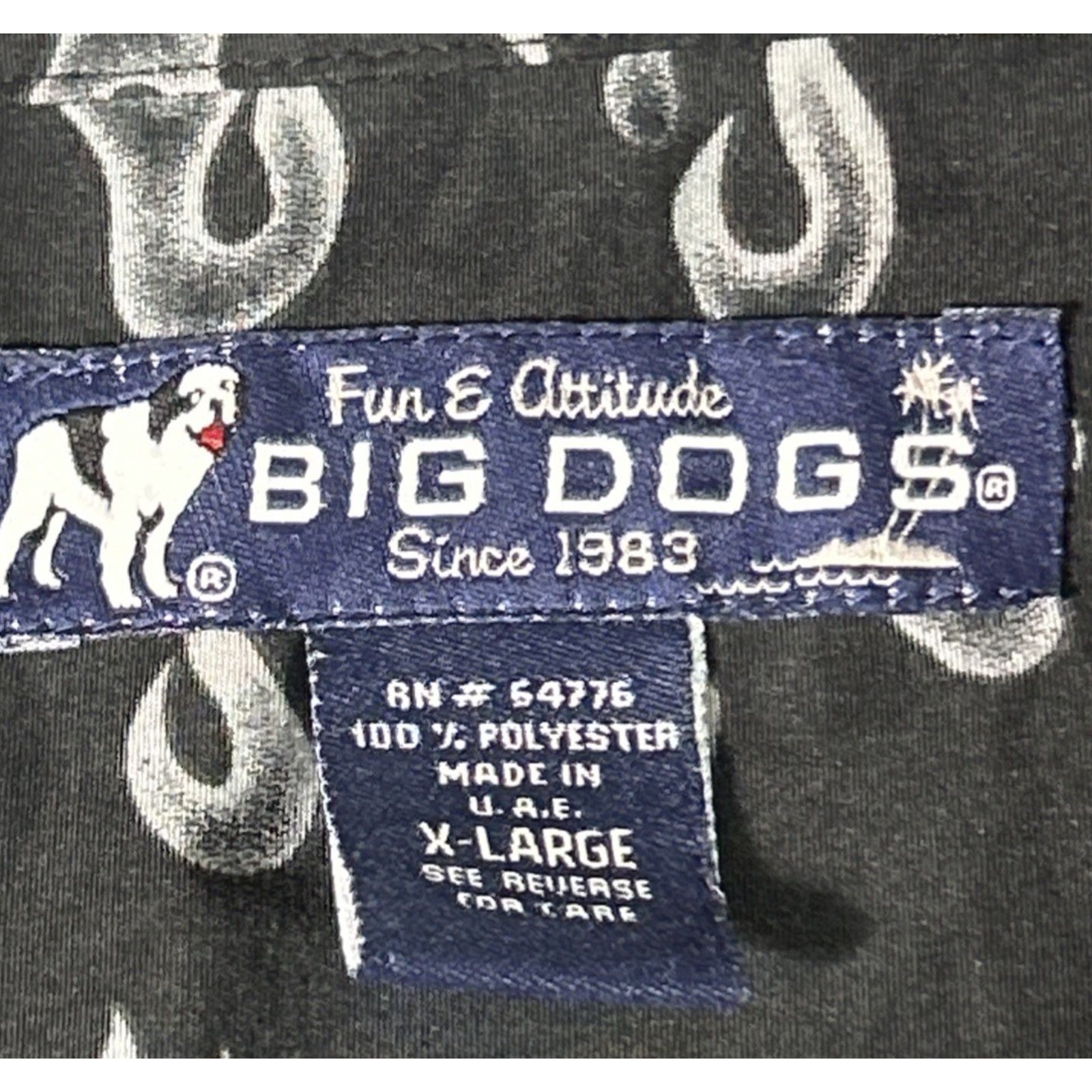 Big Dogs Big Dogs Flaming Fire Flames Button Up Shirt Mens XL Grunge Size US XL / EU 56 / 4 - 6 Thumbnail