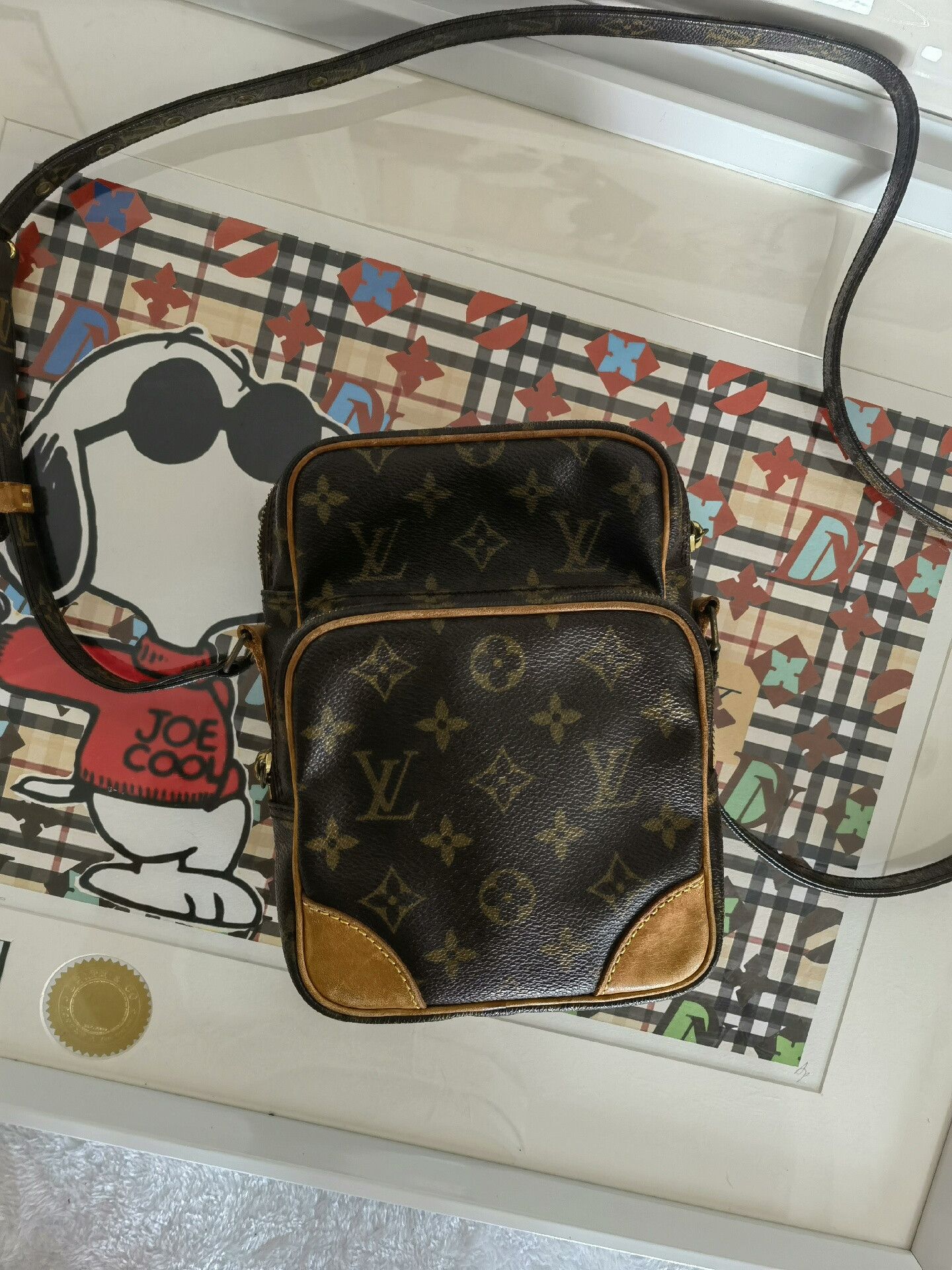 LVXWA Louis Vuitton Vertical Messenger Camera Bag Size ONE SIZE - 1 Thumbnail