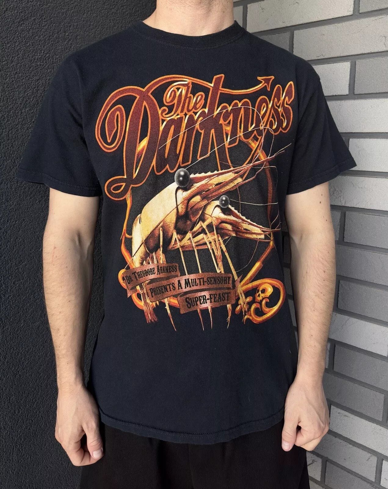 Gildan The Darkness Tour 2011 Shirt Tee Band Rock Metall Size US M / EU 48-50 / 2 - 1 Thumbnail
